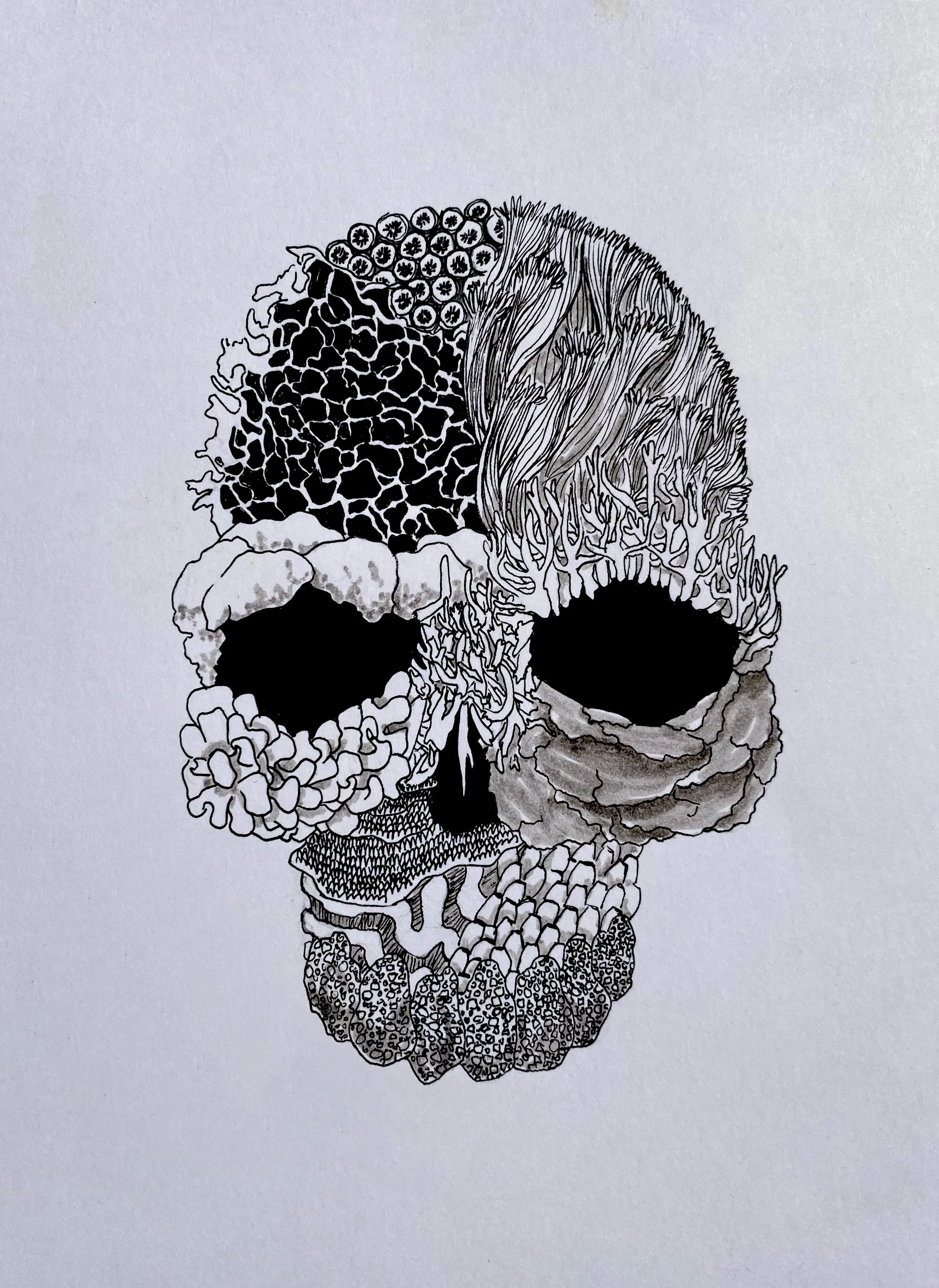  Title:  Coral Death 
 Media:  Pen 
 Notes:  Spot Illustration assignment for an article about coral death.