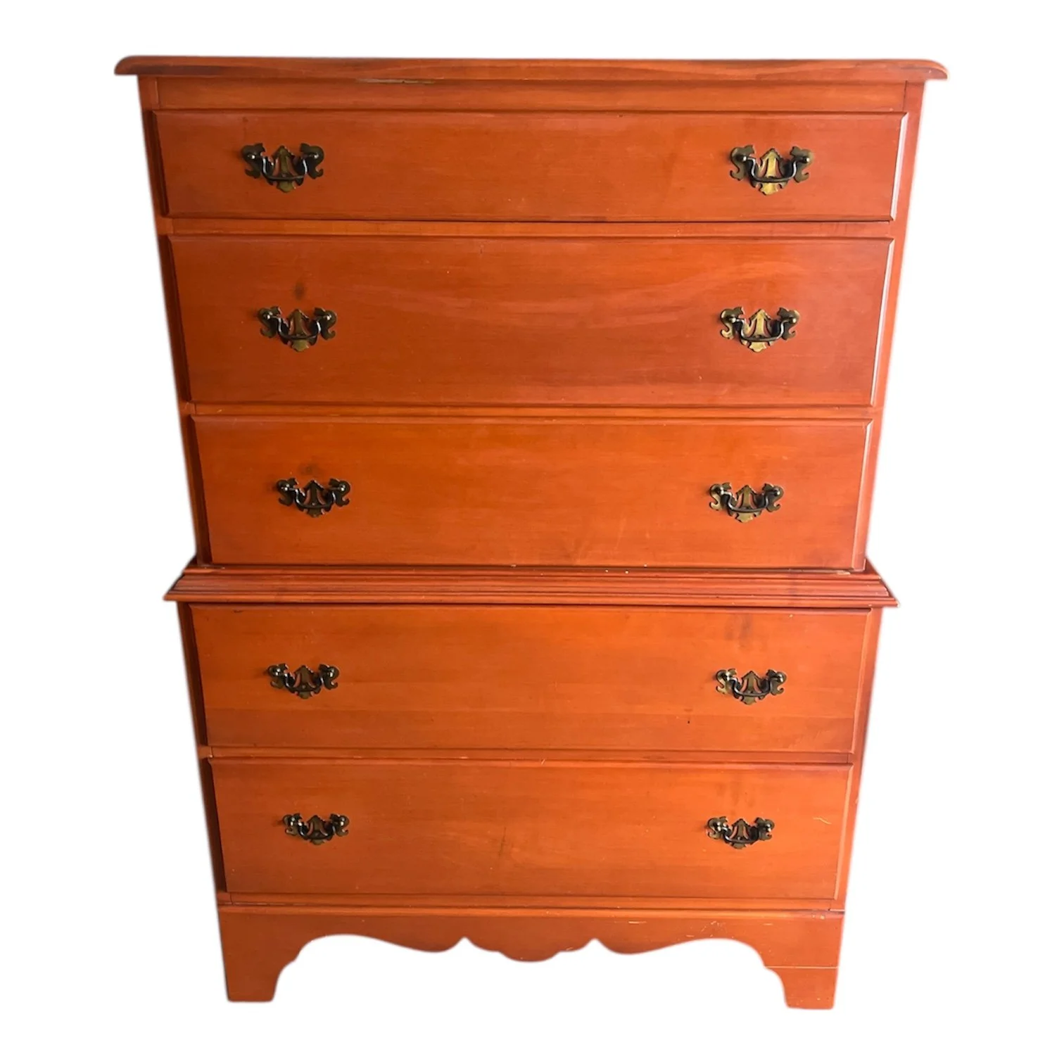 Photoroom_20260117_124459 (1).JPG