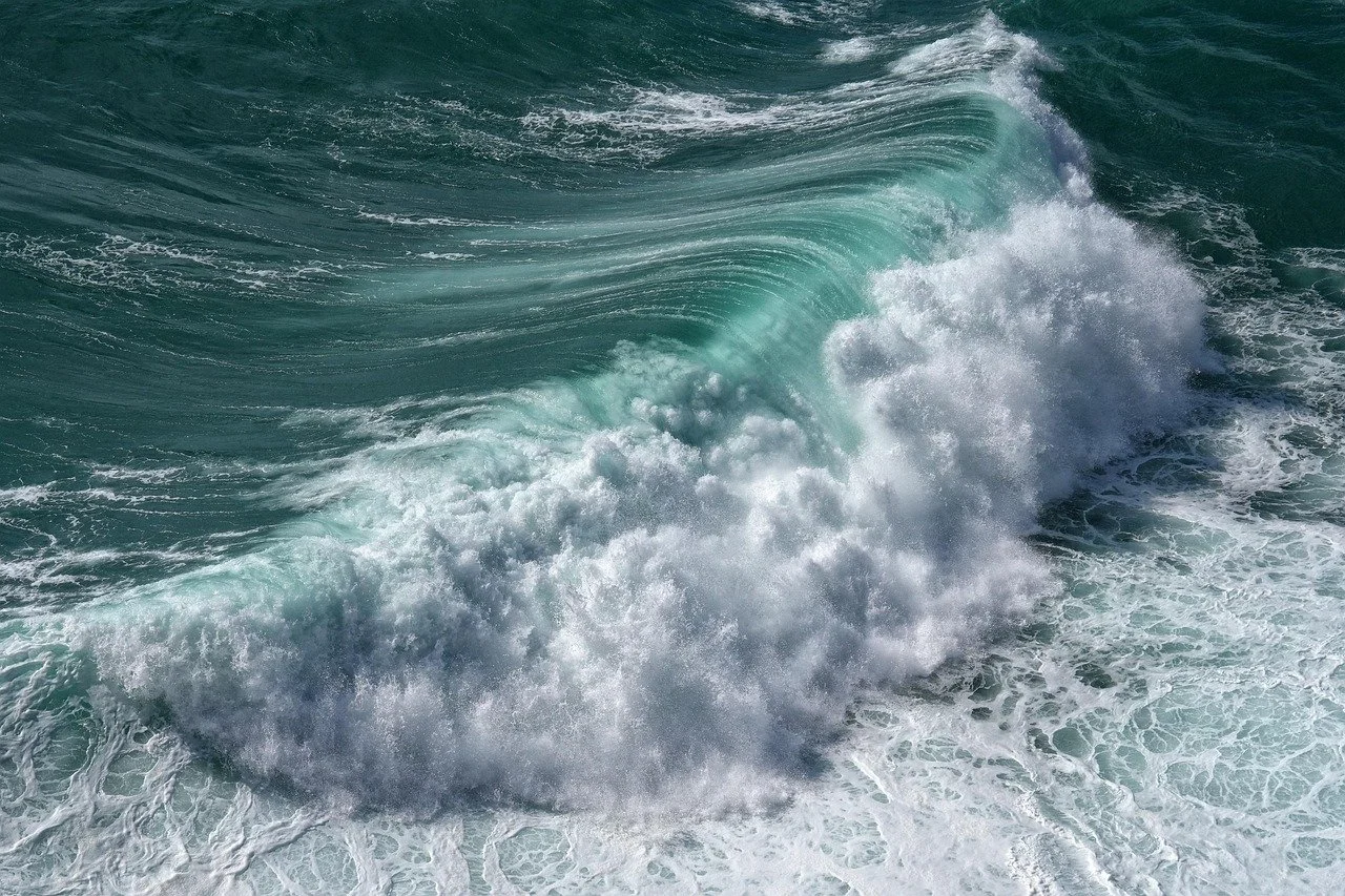Stop Fighting the Current Before You Drown 