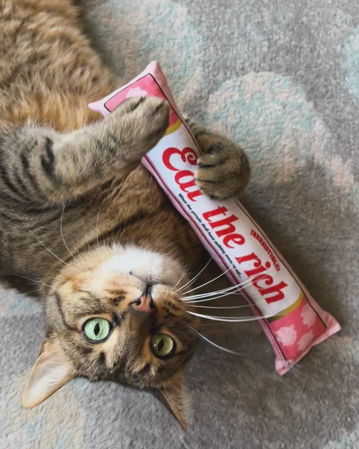 Happy Caturday! 😻 

Thx for the new toy @thecatnipdispensary 🍃