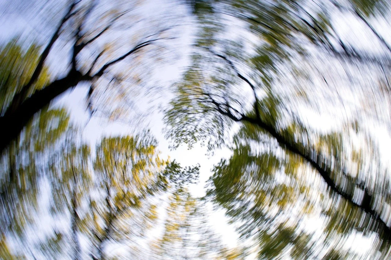 Blurred upward view of trees with branches and leaves against the sky, with a swirling effect.