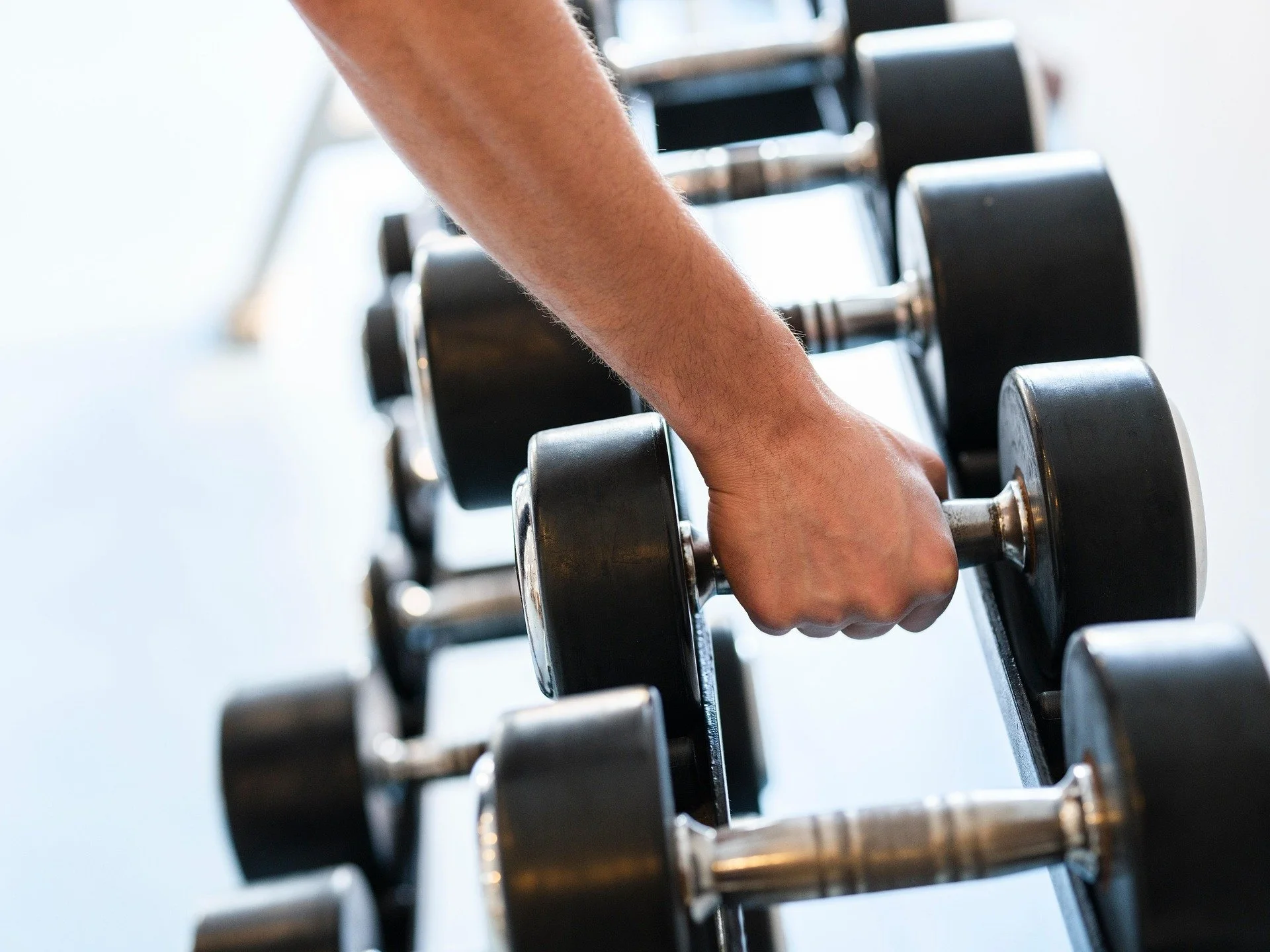 A person lifting a dumbbell in a gym with a row of other dumbbells.
