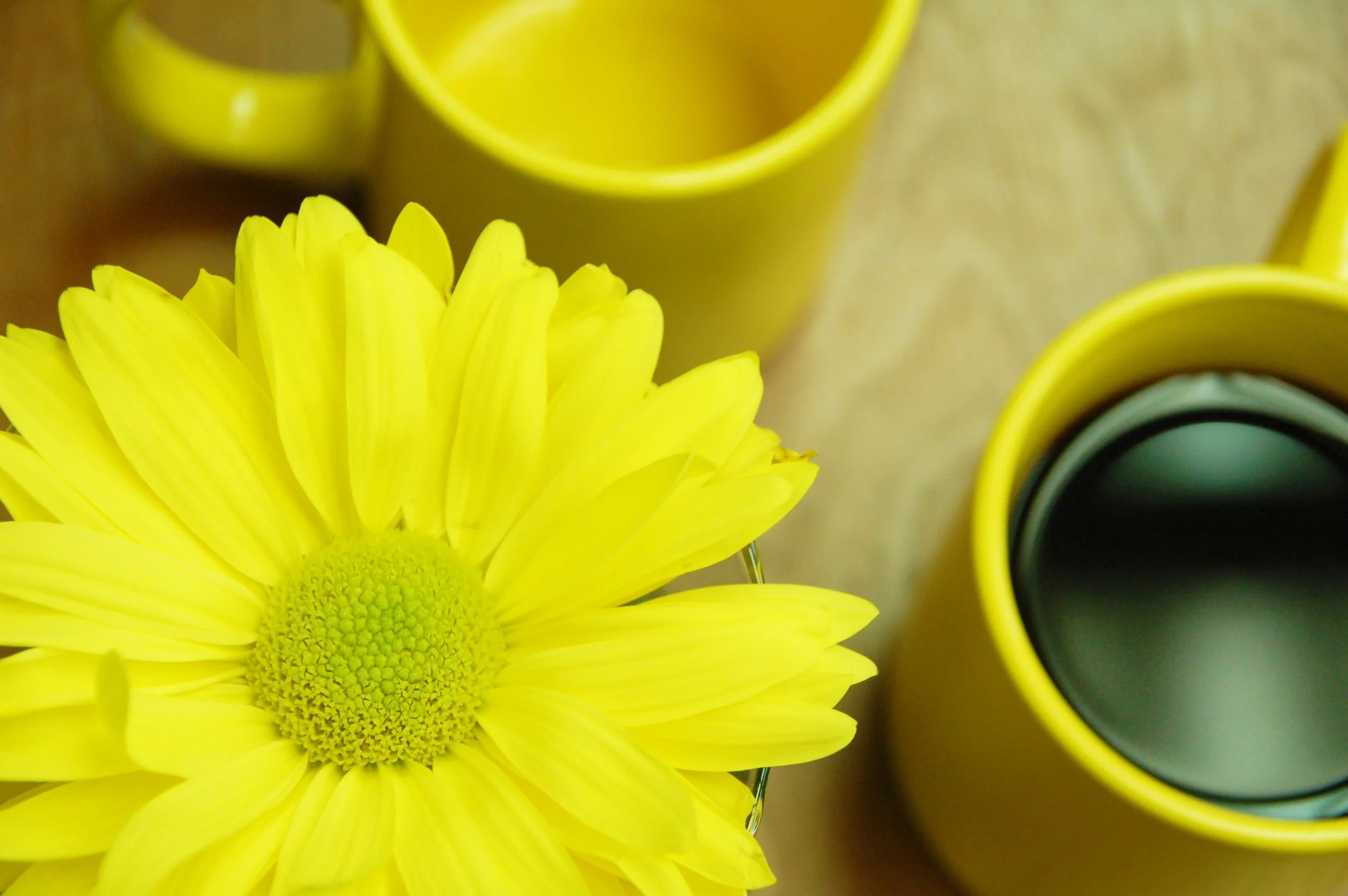 DSC_1392 - Edited.jpg