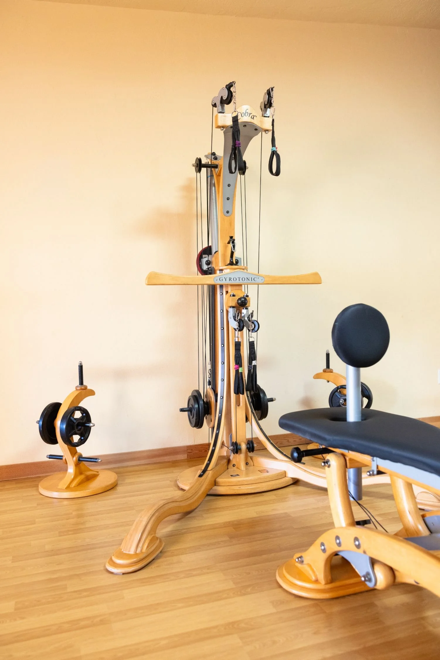Indoor gym equipment including a wooden gyroscopic exercise machine, a bench with a backrest and adjustable seat, and a small weight stand with weights.