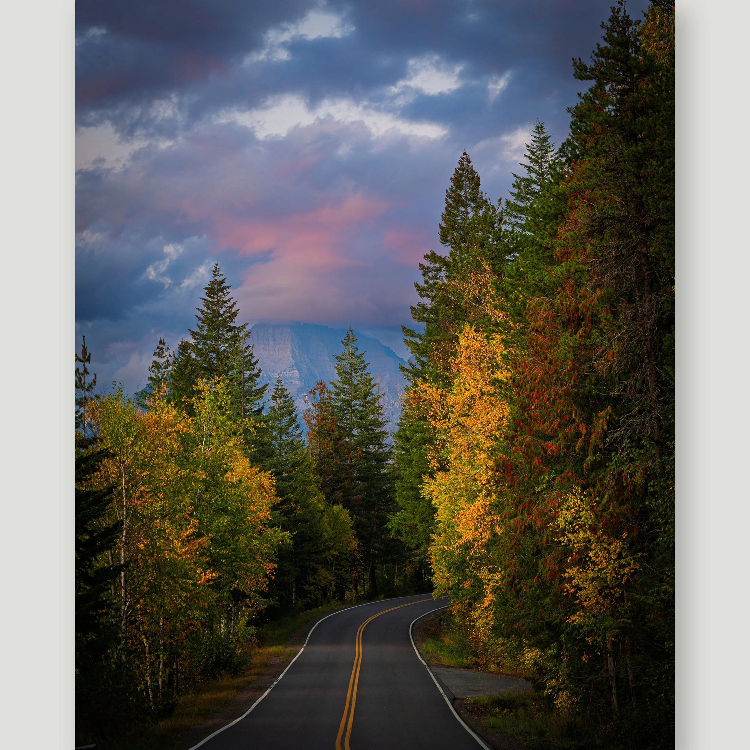 Where the Road Turns Gold