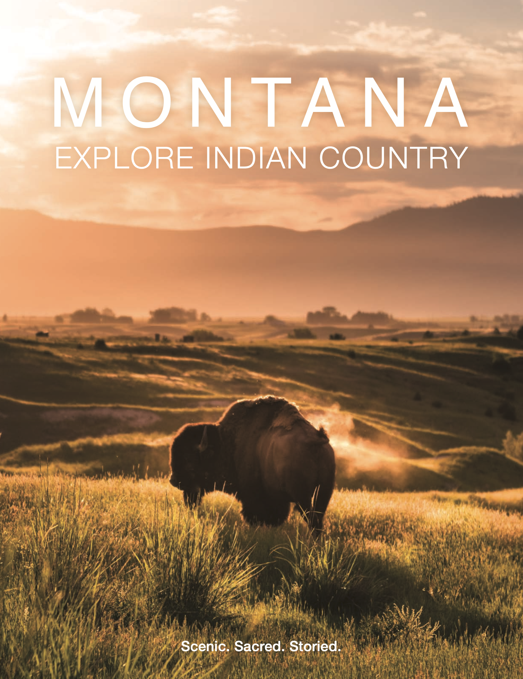 A scenic landscape of Montana featuring a bison standing in a grassy field during sunset with rolling hills and mountains in the background.