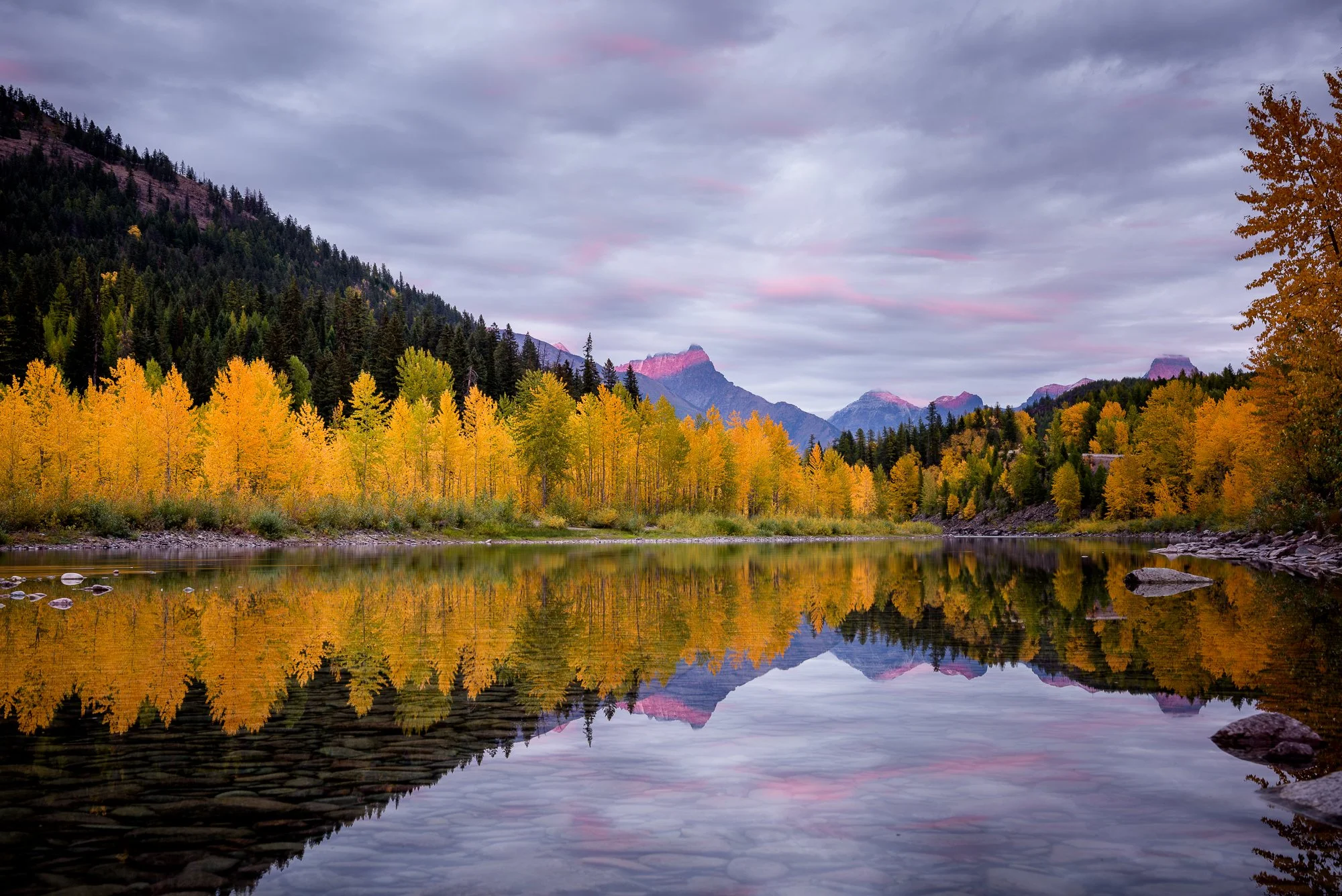 A calm river reflecting a line of yellow and orange autumn trees, with a backdrop of forested mountains under a cloudy sky.
