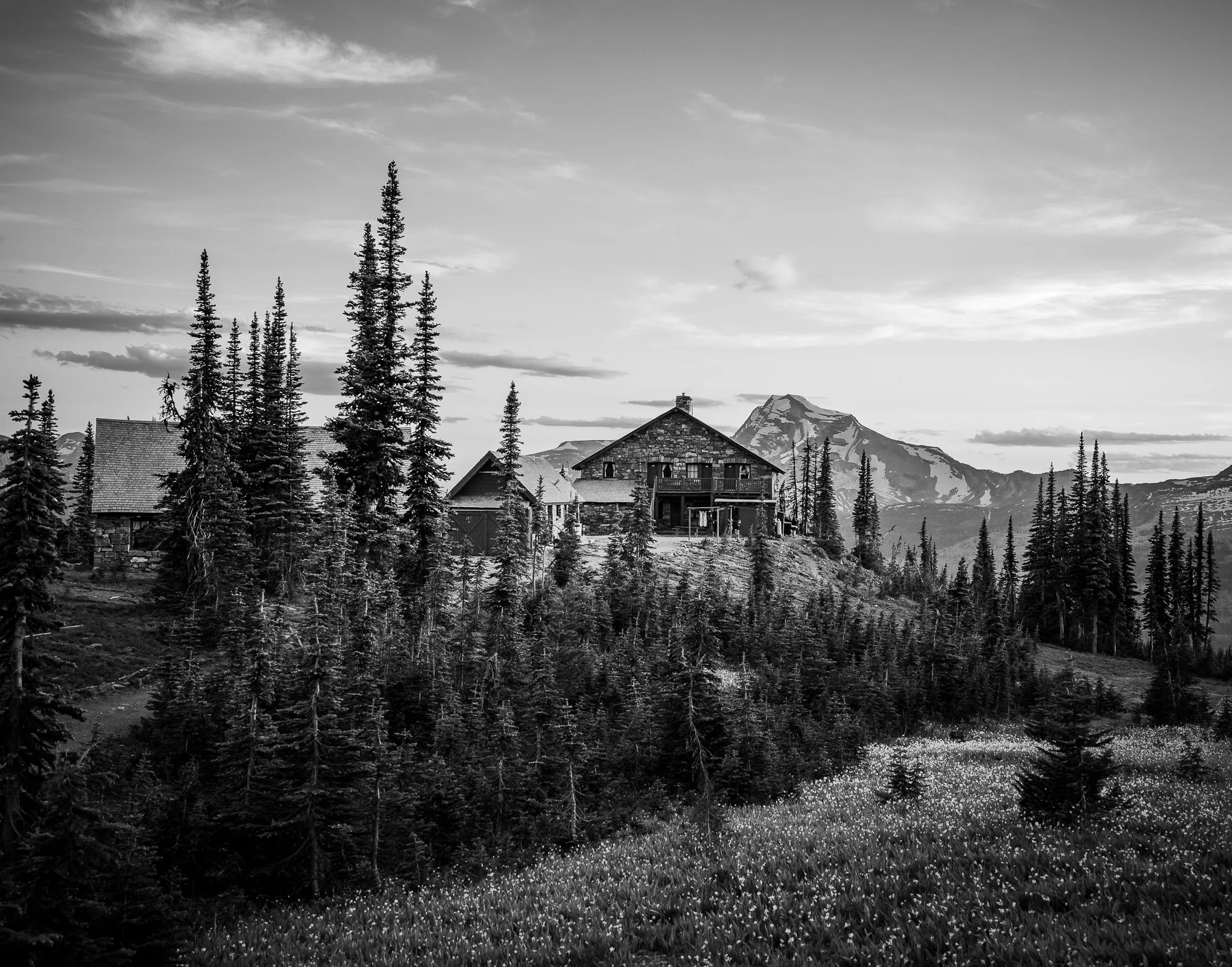 Black and white photo of a mountain landscape with trees, two houses on a hill, and a mountain in the background.