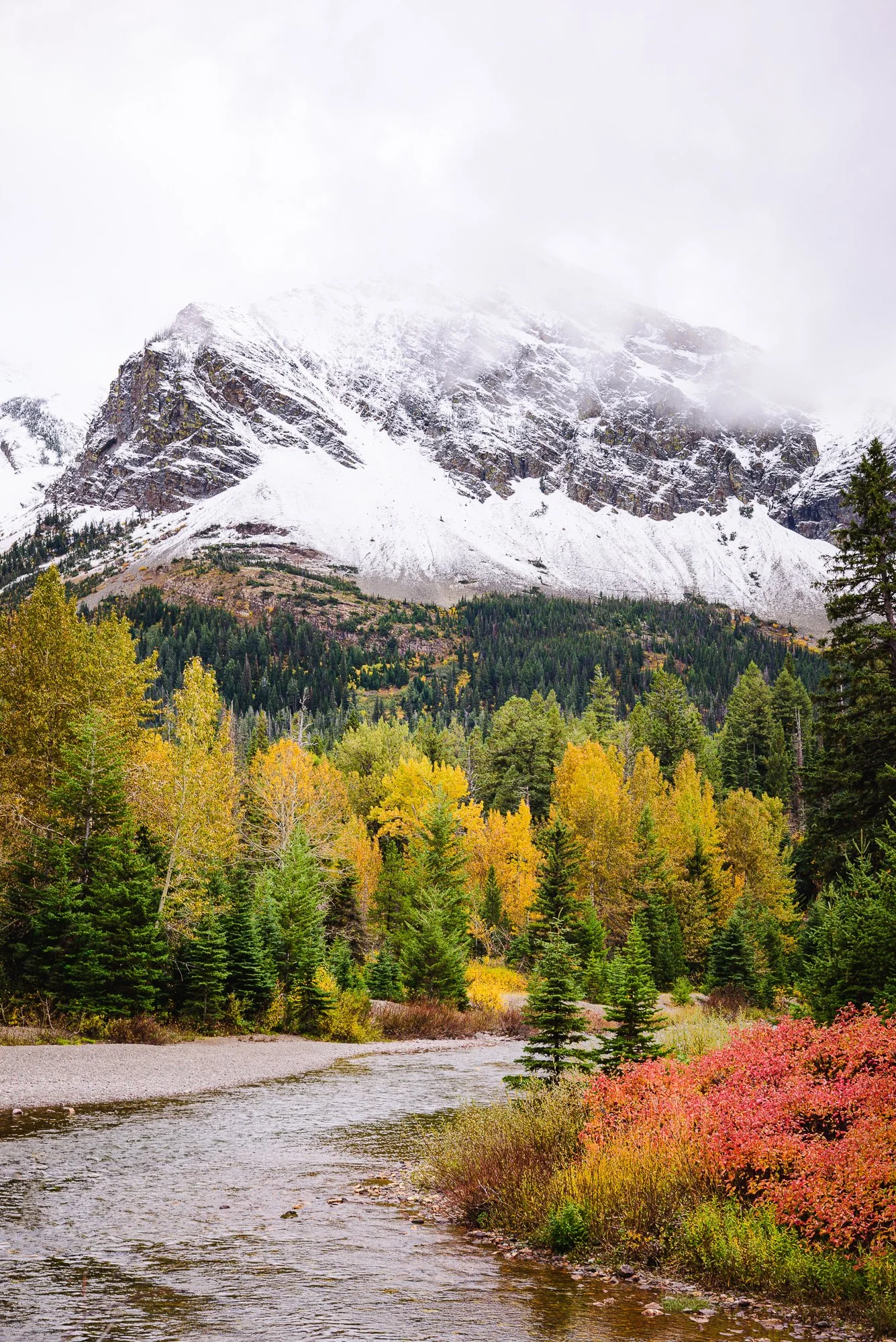 A mountain landscape with snow-capped peaks, a forest of green and yellow trees, and a river in the foreground.