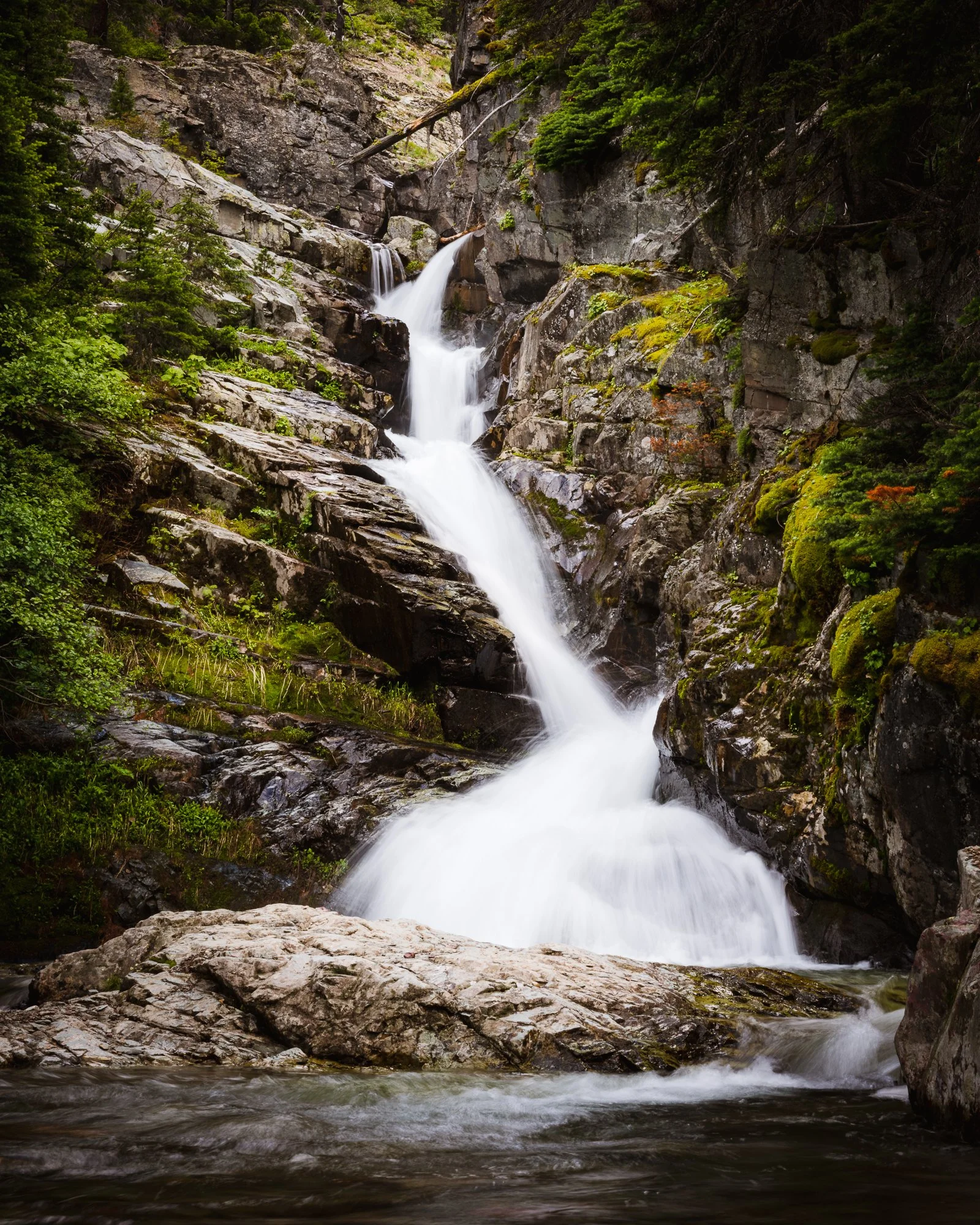 A waterfall cascading down rocks surrounded by lush green trees in a forest setting.