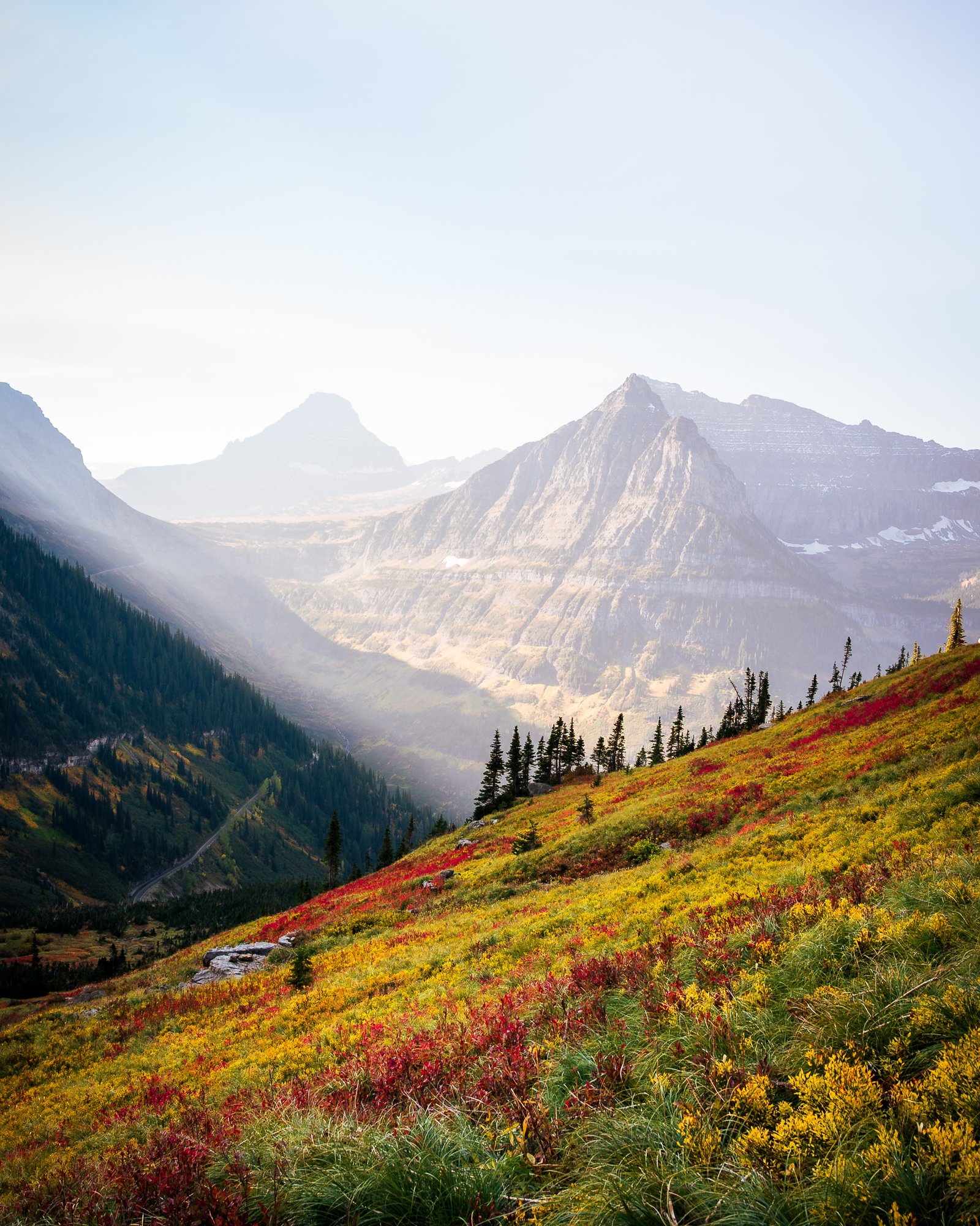 Mountain landscape with colorful spring foliage, evergreen trees, and snowy peaks in the distance.