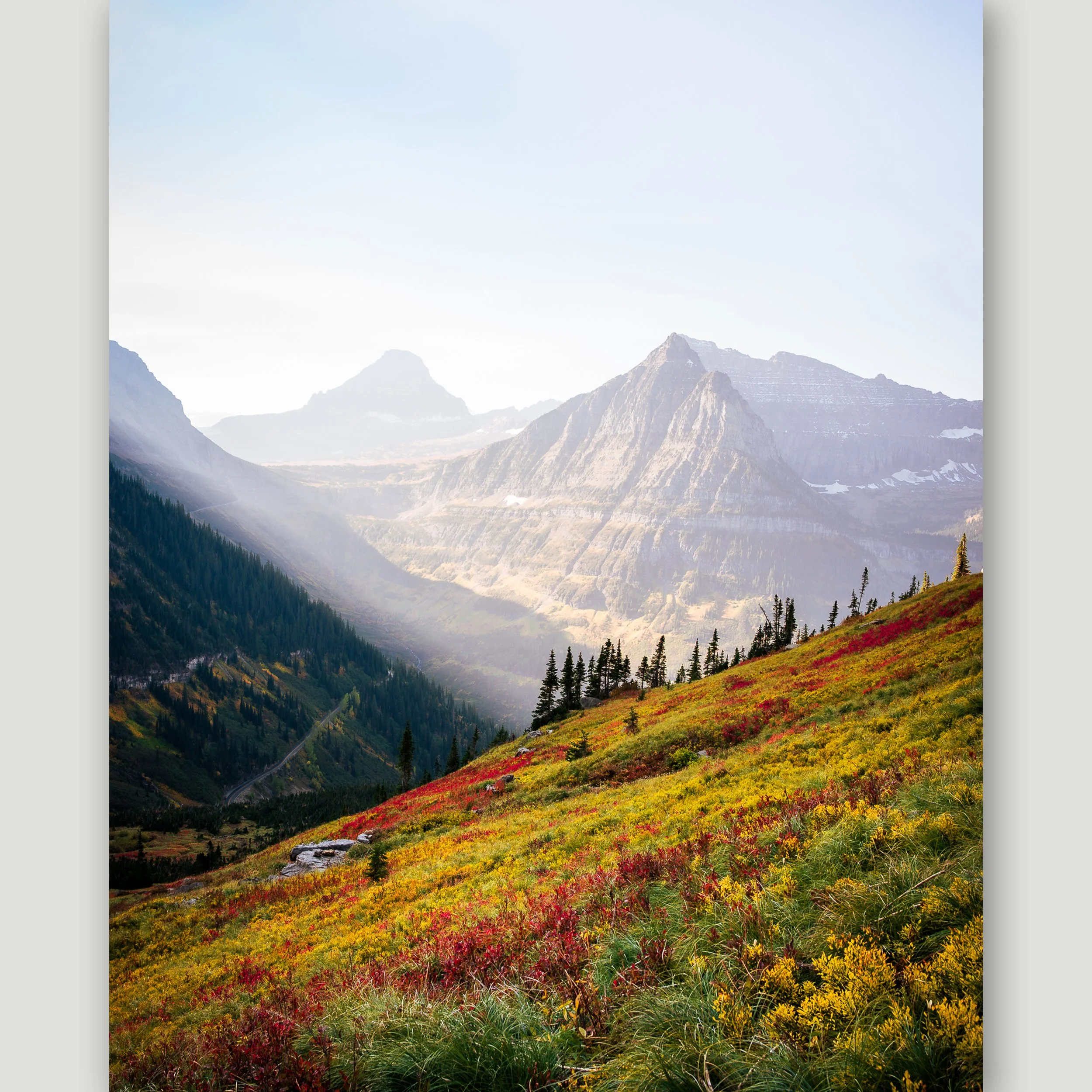 Painted Hillside