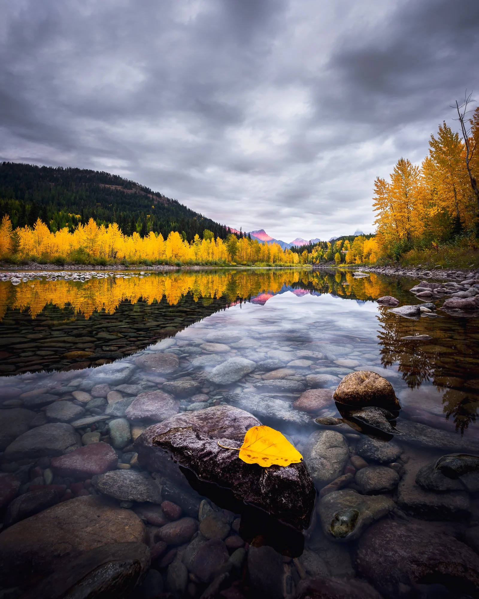 A serene mountain river scene with yellow and orange autumn trees reflected in still water, overcast sky, and colorful mountains in the distance, with a yellow leaf resting on a rock in the foreground.