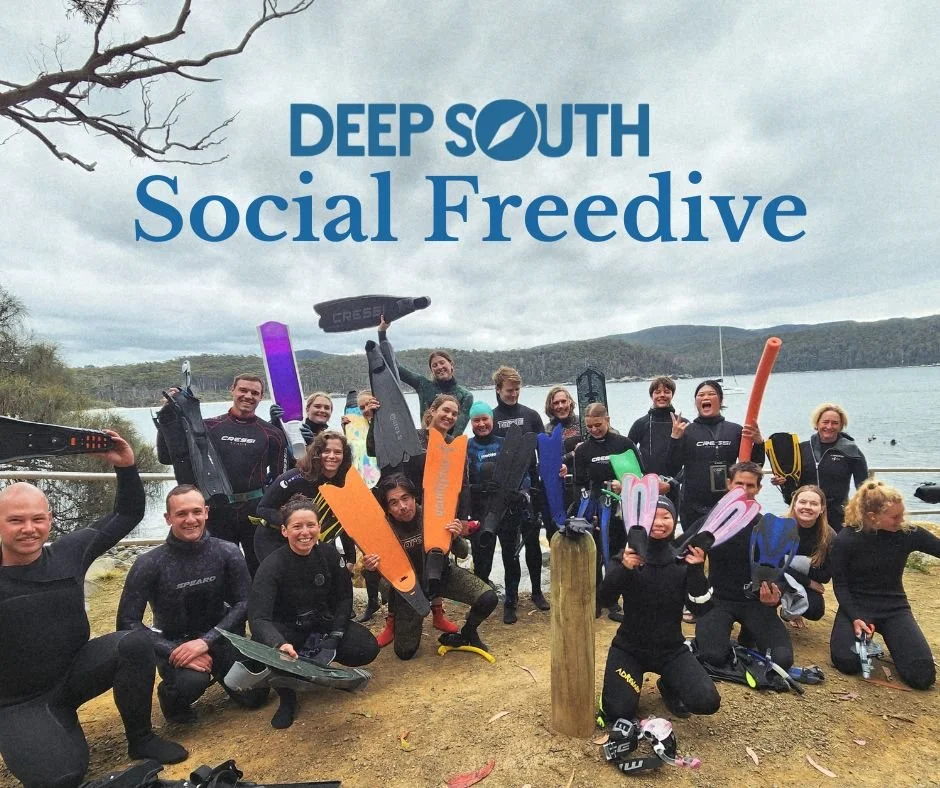 Deep South Social Freedive &amp; Picnic