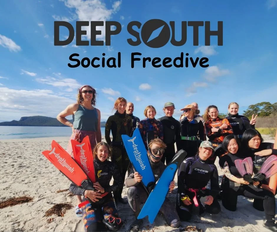 Deep South Social Freedive &amp; Picnic