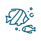 Two stylized fish, one larger and one smaller, with bubbles indicating they are underwater.