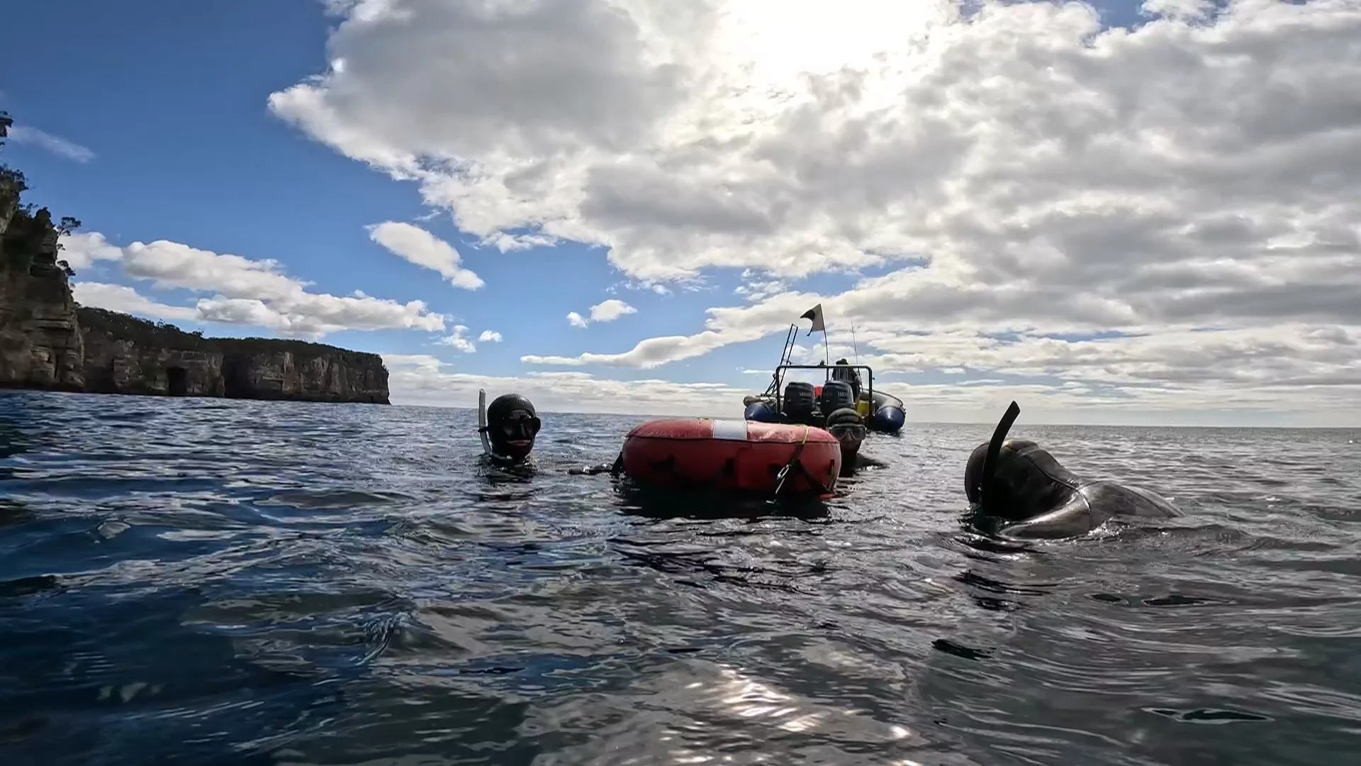 Two scuba divers in the water near a red flotation device, with a boat and cliffs in the background under a partly cloudy sky.