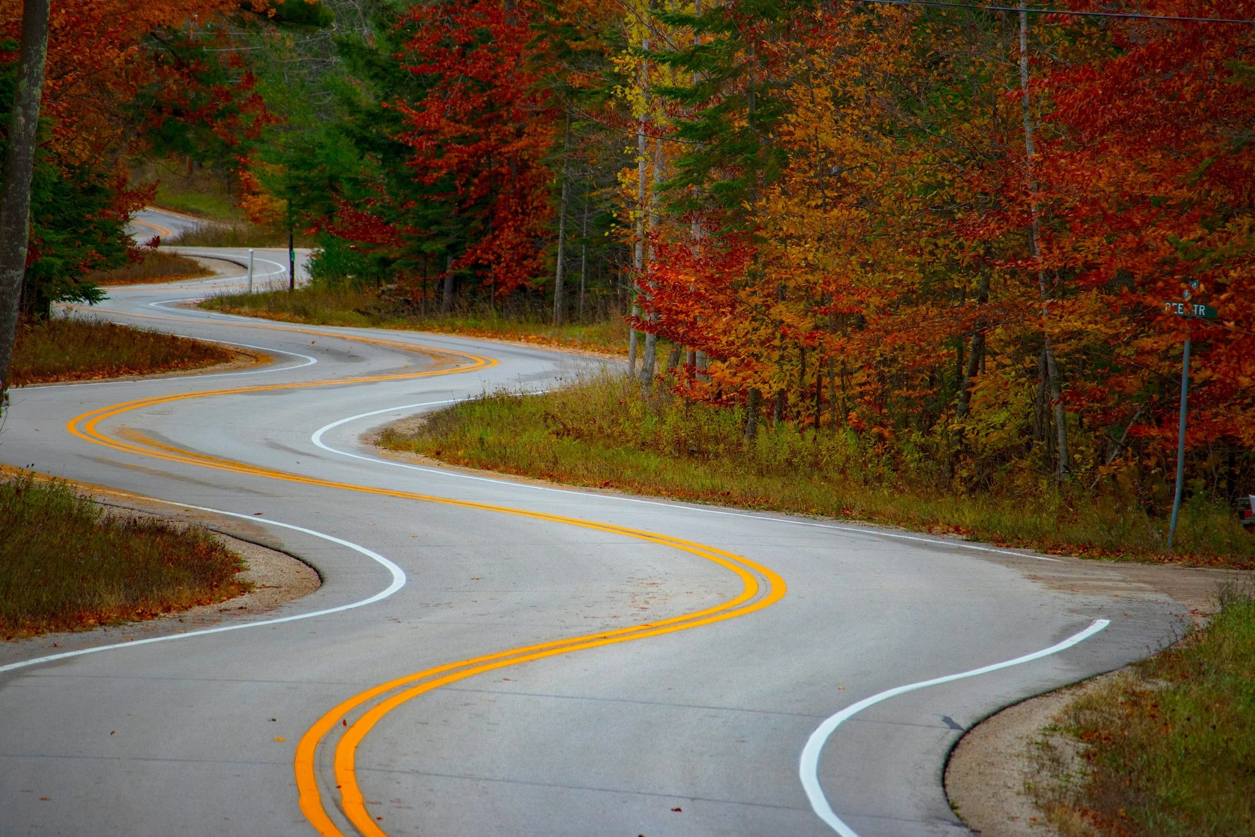 A winding road through a forest with trees displaying fall foliage in red, orange, yellow, and green.