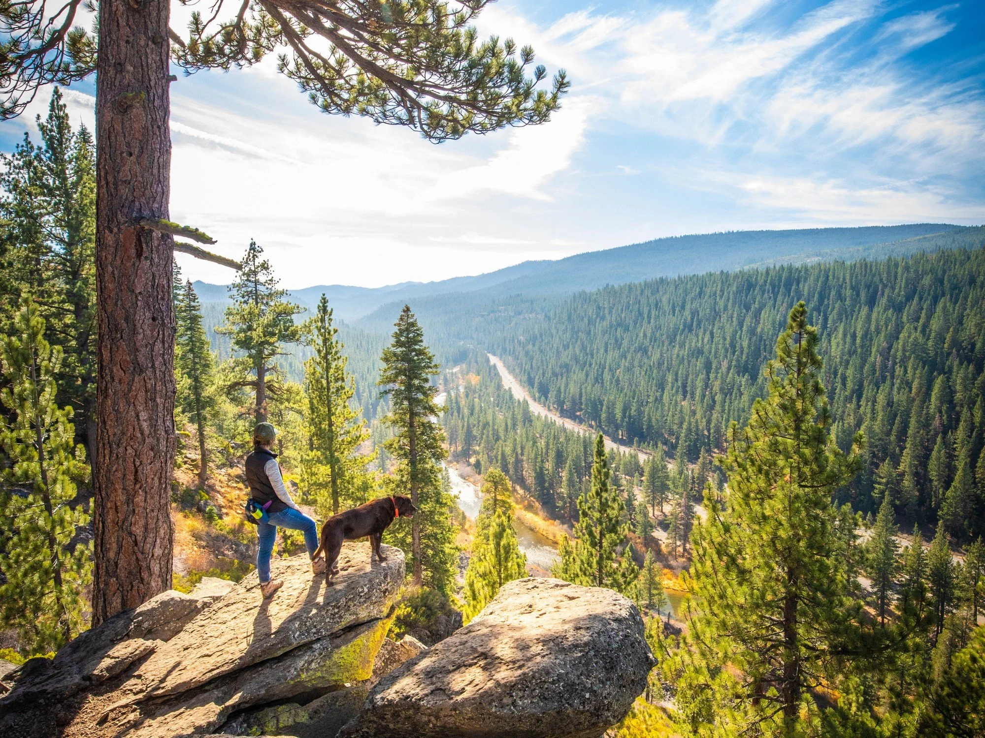 Quick Forest Walks With Big Payoff