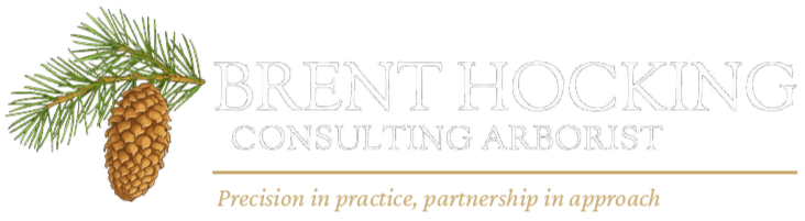 Brent Hocking, Board Certified Master Arborist, Hamilton Ontario logo tagline