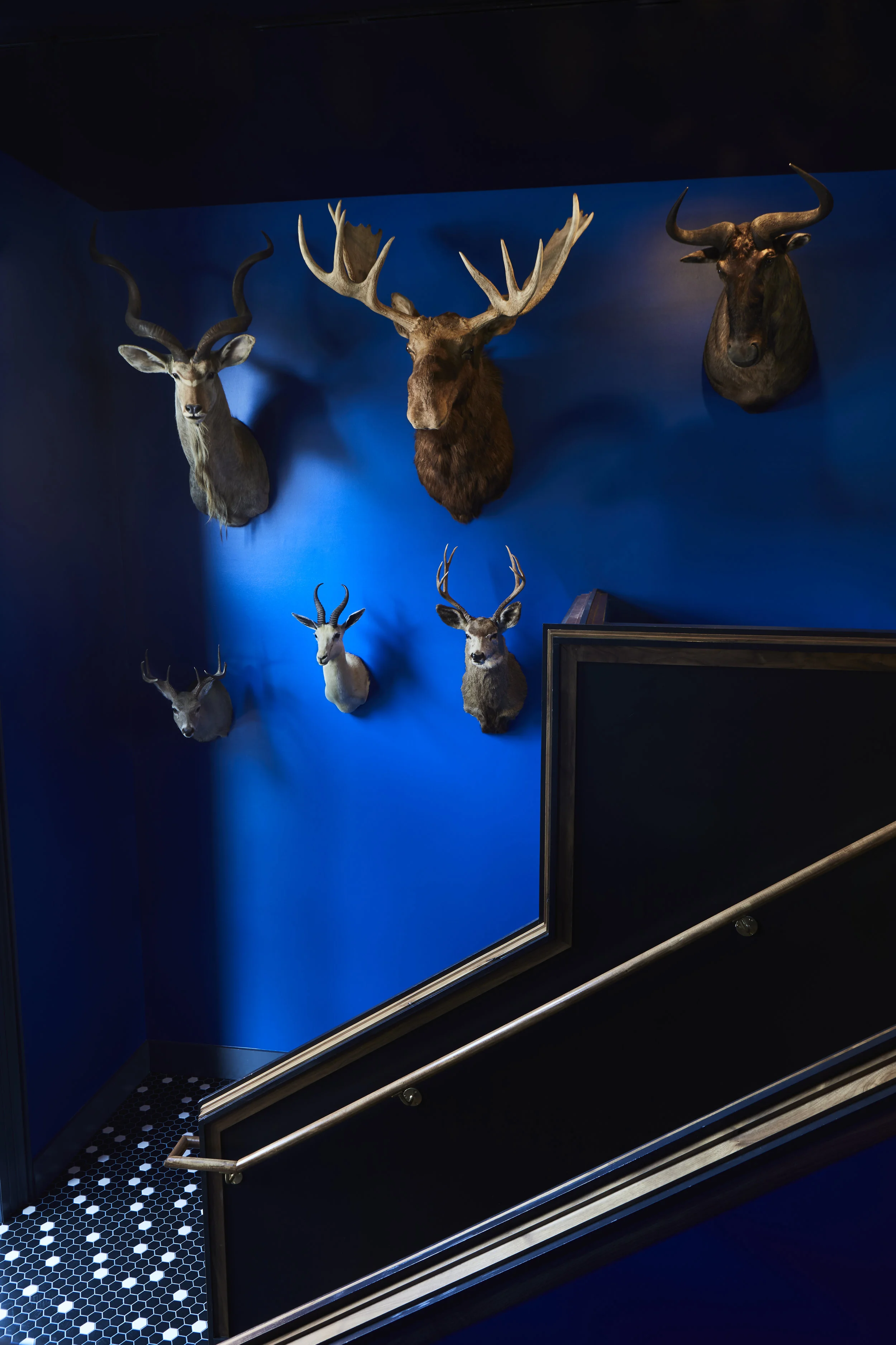 SHOT 3_092 retouched.jpg