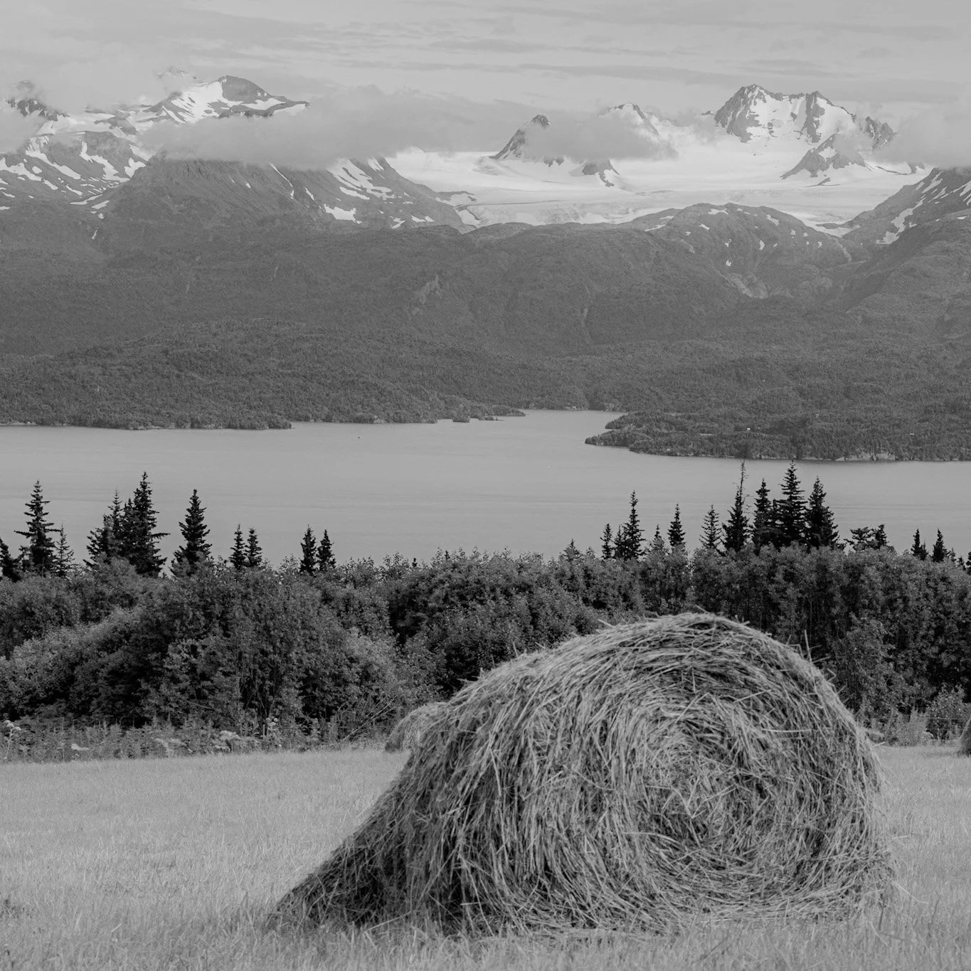 Homestead views