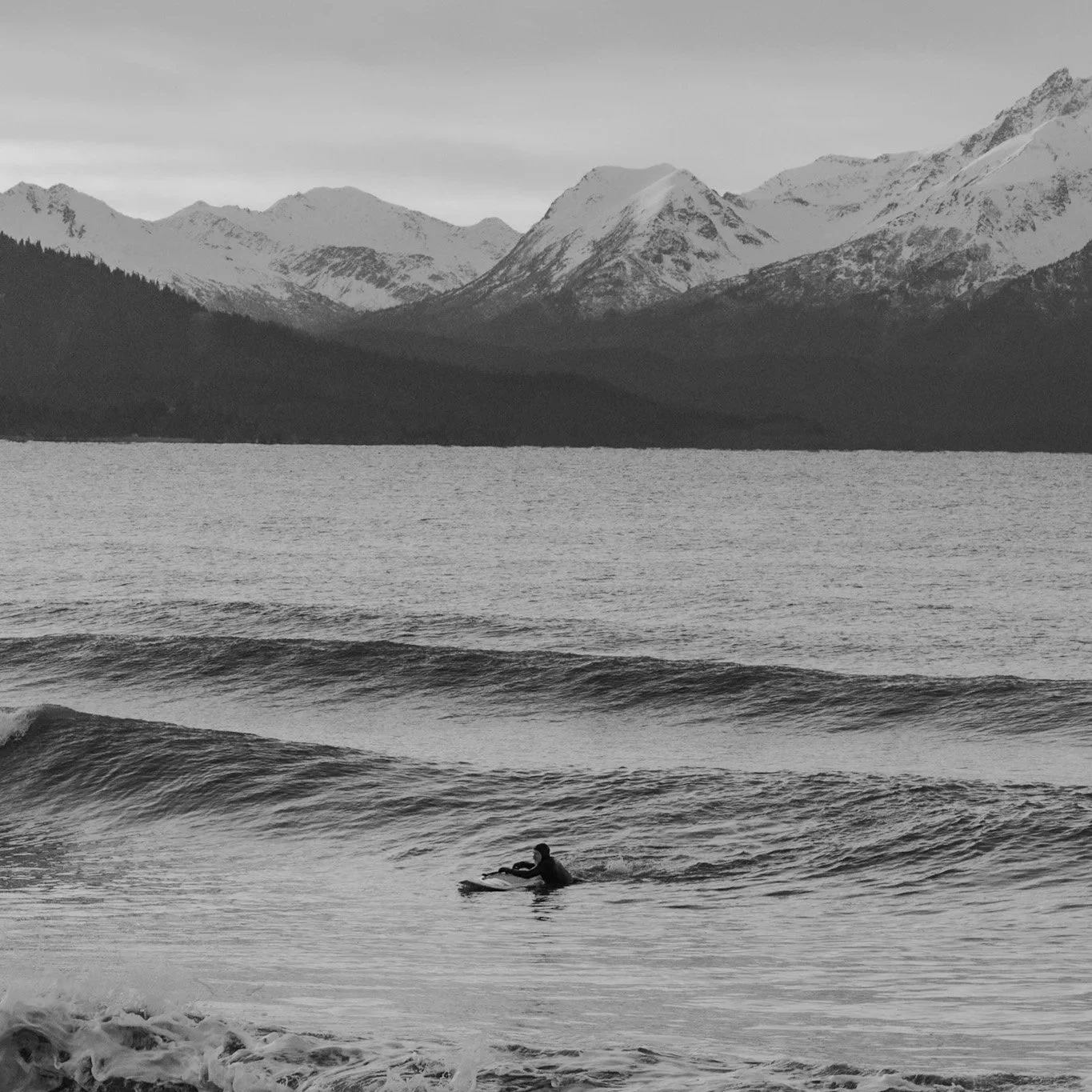 Surfing in Homer