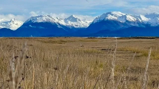 A vast field of dry grass with snow-capped mountains in the background under partly cloudy skies.