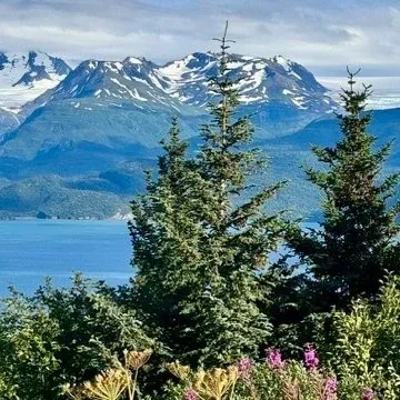 Scenic view of snow-capped mountains, a blue lake, and evergreen trees with purple flowers in the foreground.