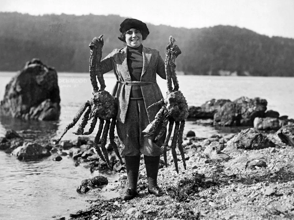 Alaska woman crab.webp