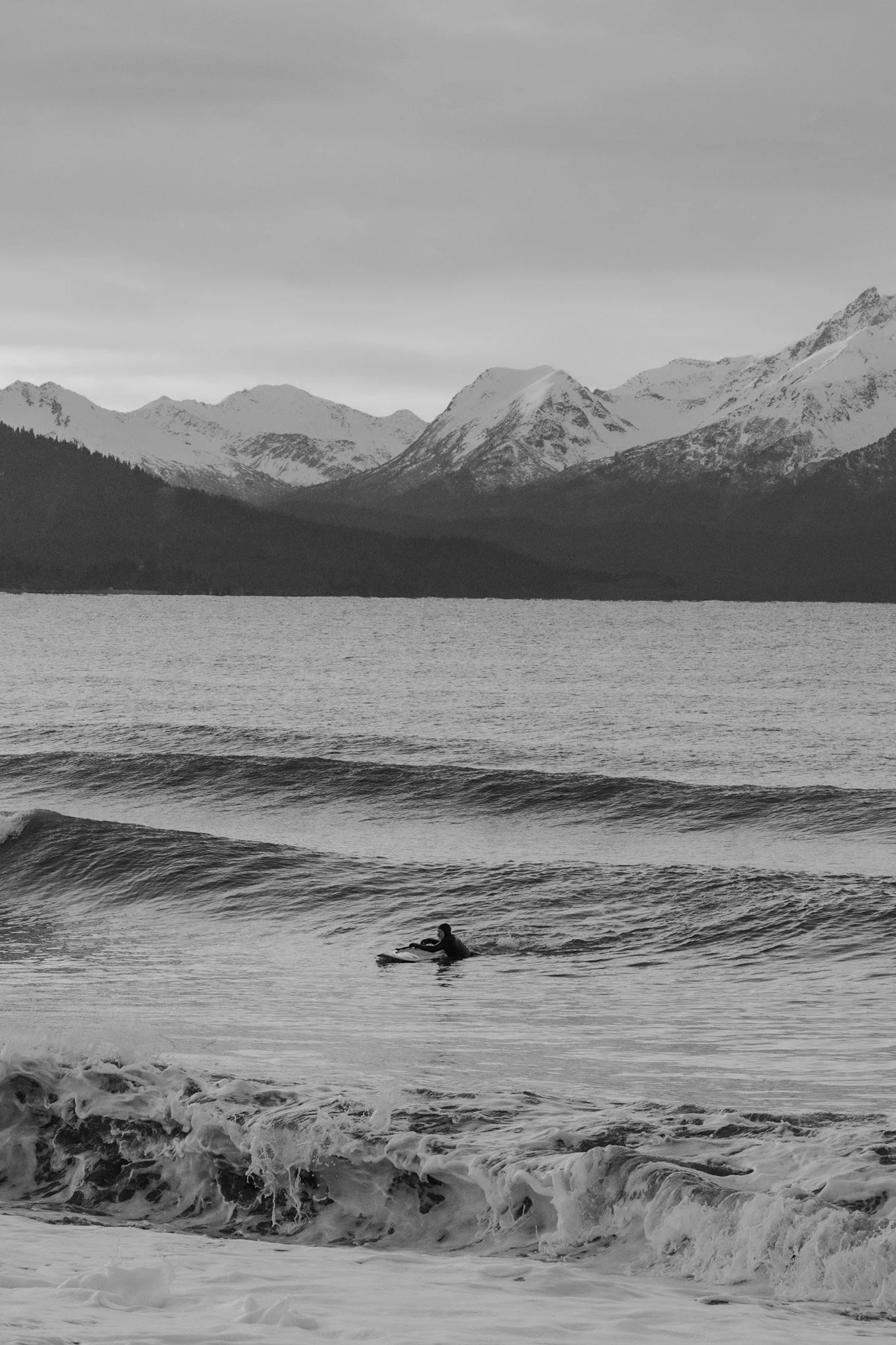 Copy of _NZF4038.jpg