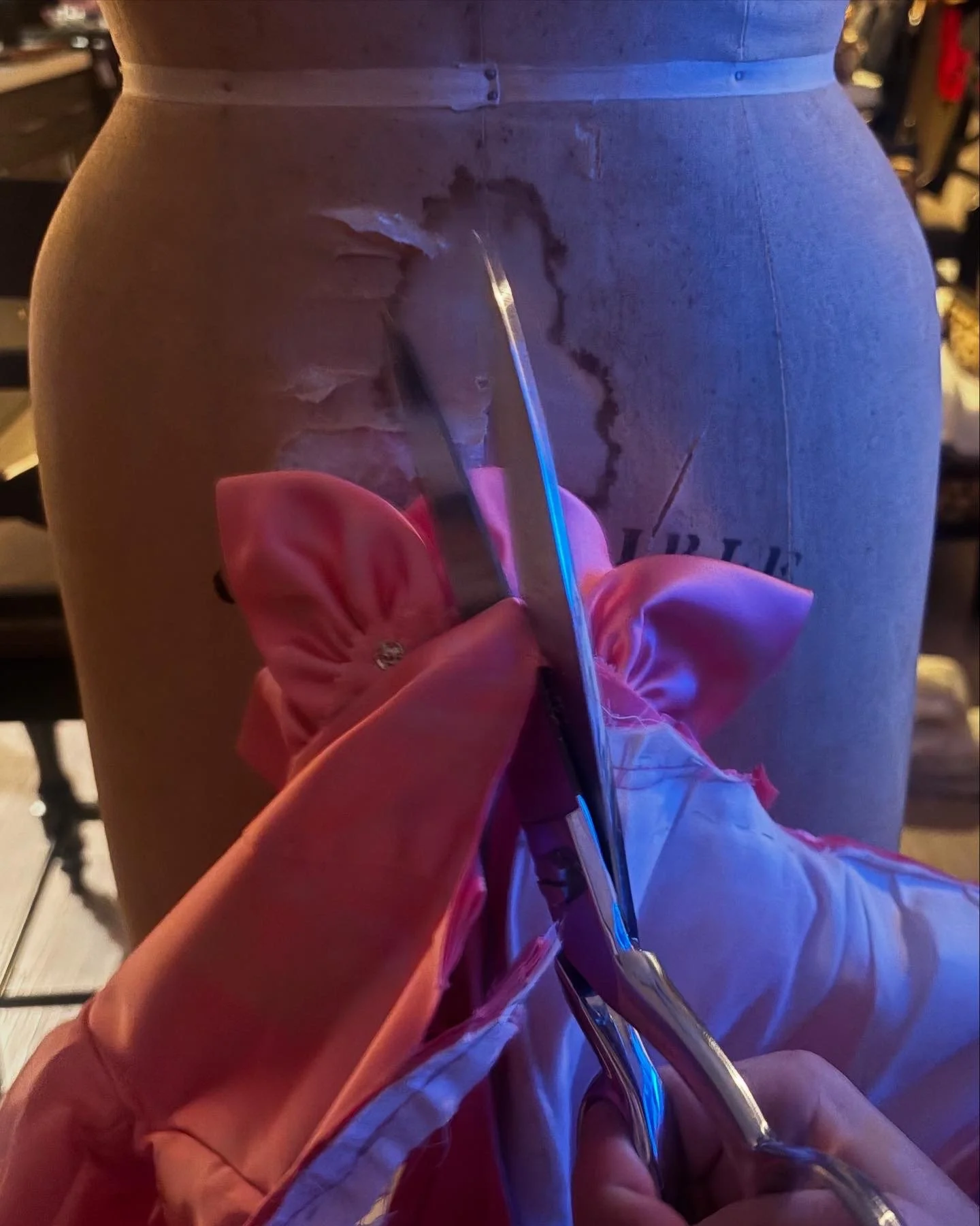 Bloom 4 portfolio.jpeg