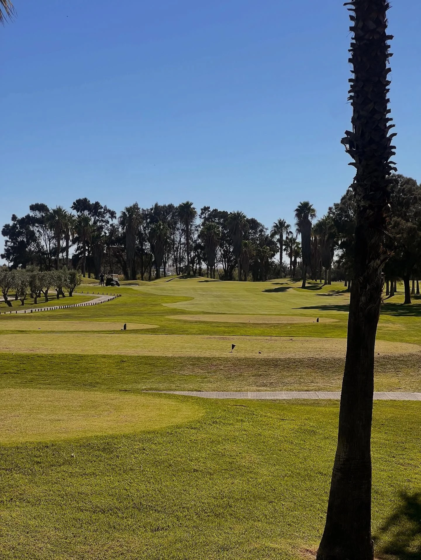 Thank you to @salgadosgolfclub and @marriottsalgados for a great 4 days A great golf course and the fact I played with @callawaygolfclubs hired was no excuse.  Portugal it's definitely on the list of places to golf. Pick your hire clubs up at the air