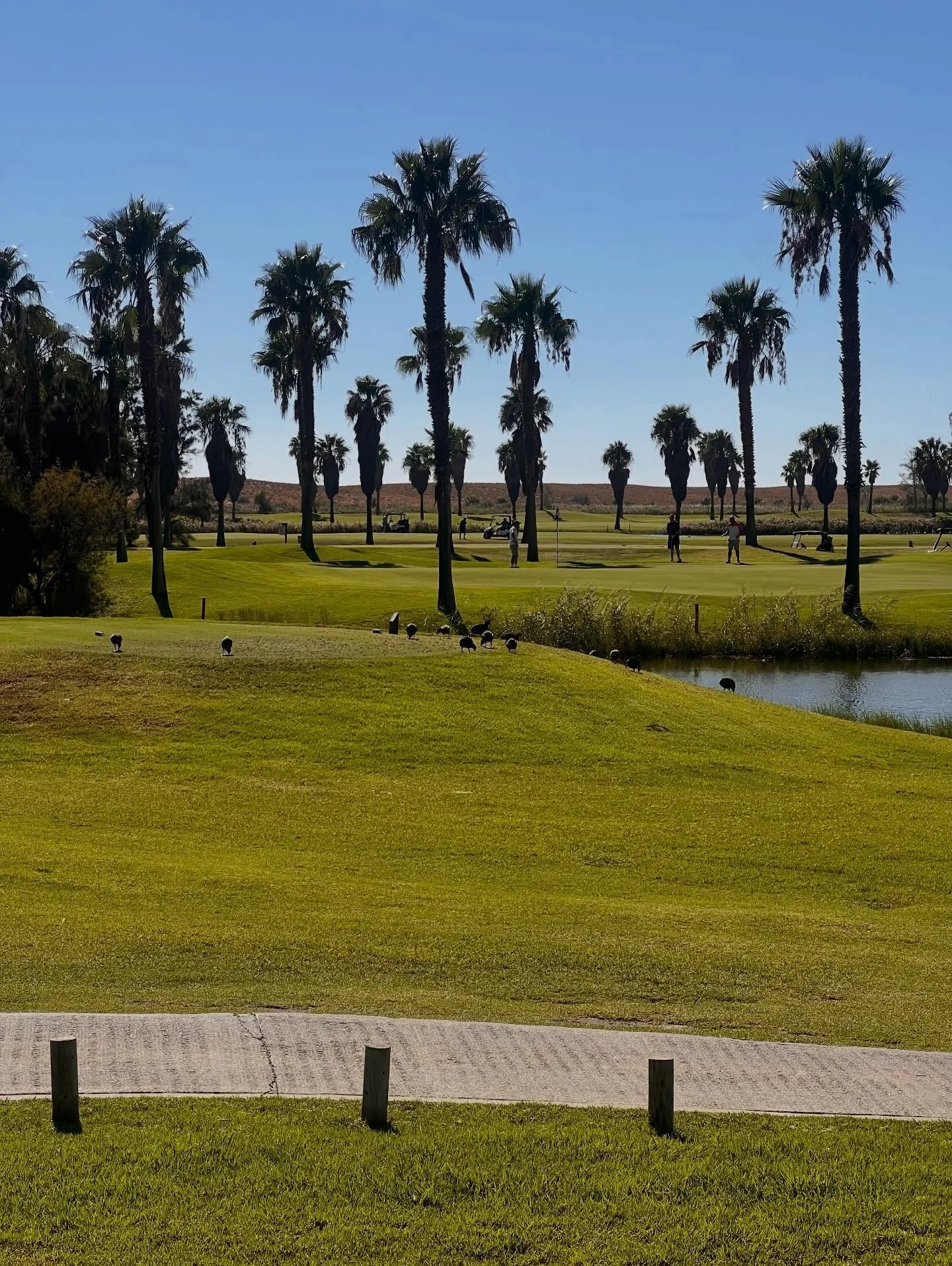 Golf in Portugal hits different #portugalgolf#golfvacations#golfholidays#golftripstour