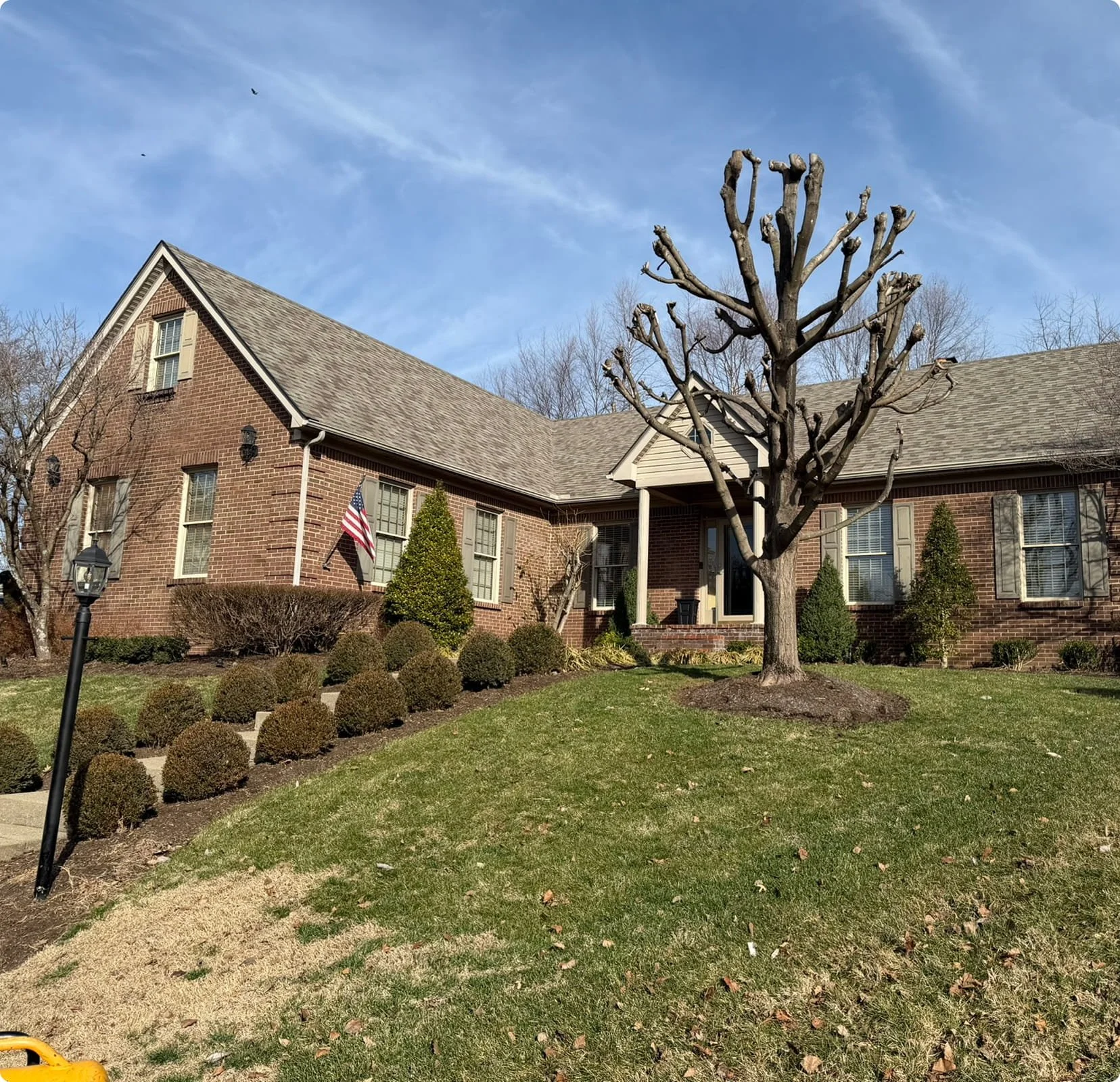 Insurance Claim Assistance