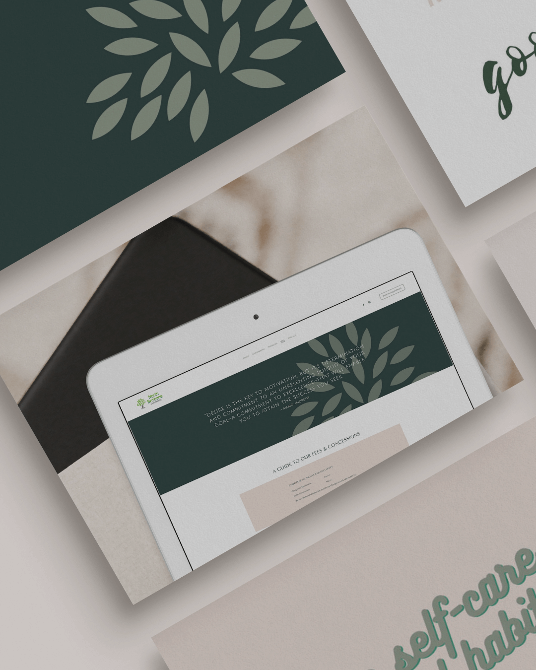 Asha Creative - North Brisbane Chiro.png