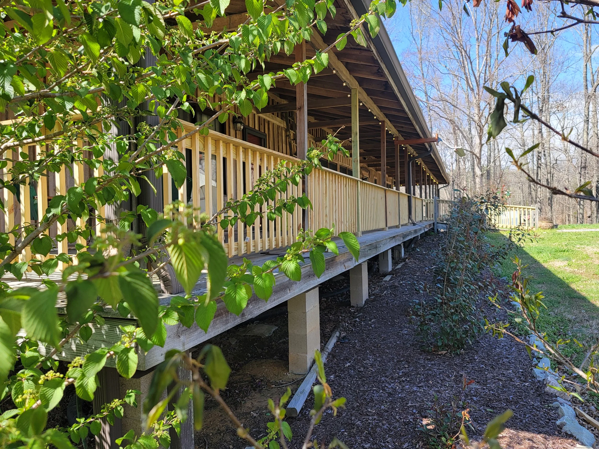 View of a wooden house with a large porch, surrounded by green trees and shrubbery, with a clear blue sky in the background.