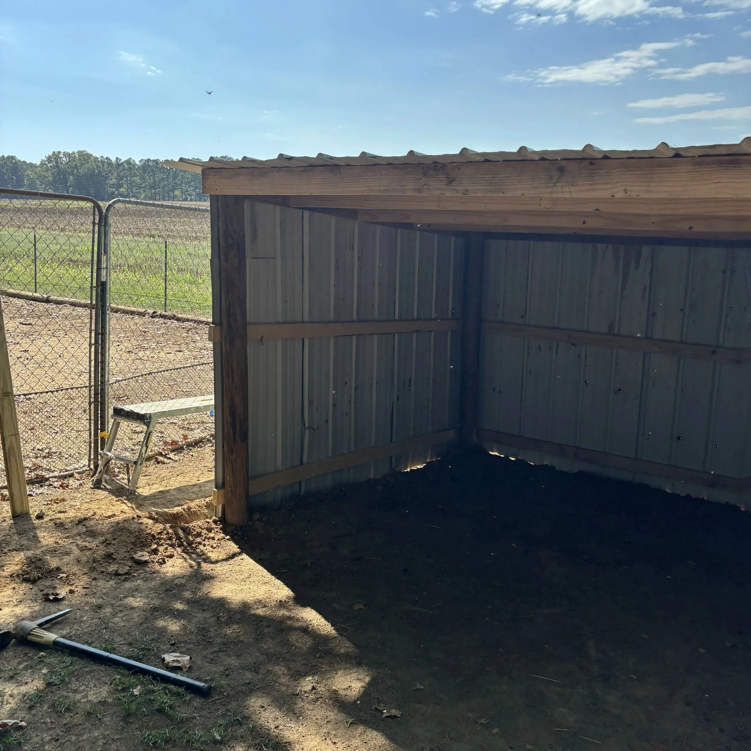Partially constructed wooden shed with metal siding, located outdoors on dirt ground, with fencing and open field in the background under a clear blue sky.