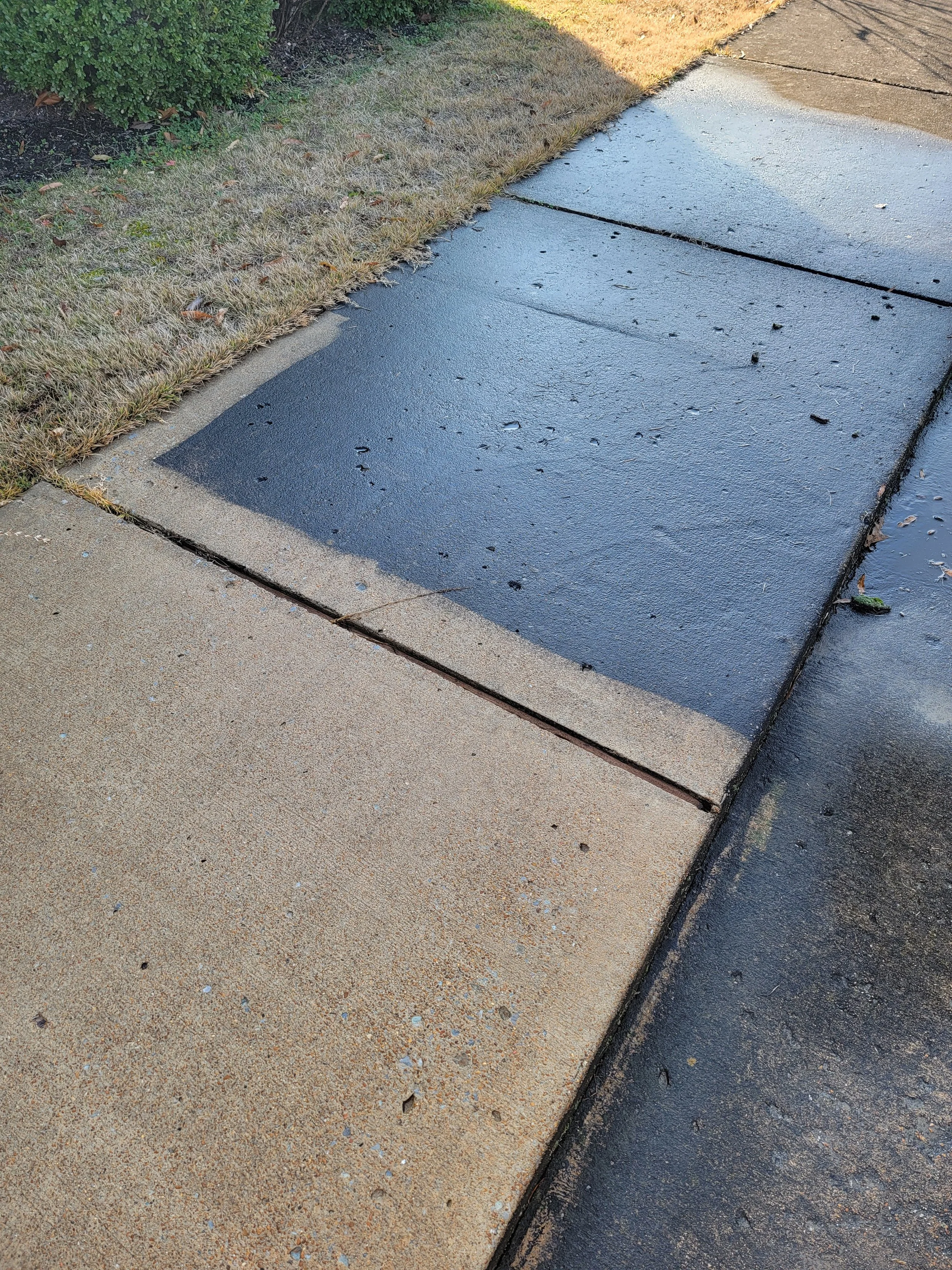 Freshly painted black crosswalk lines on a sidewalk with beige concrete and a grassy area with bushes nearby.