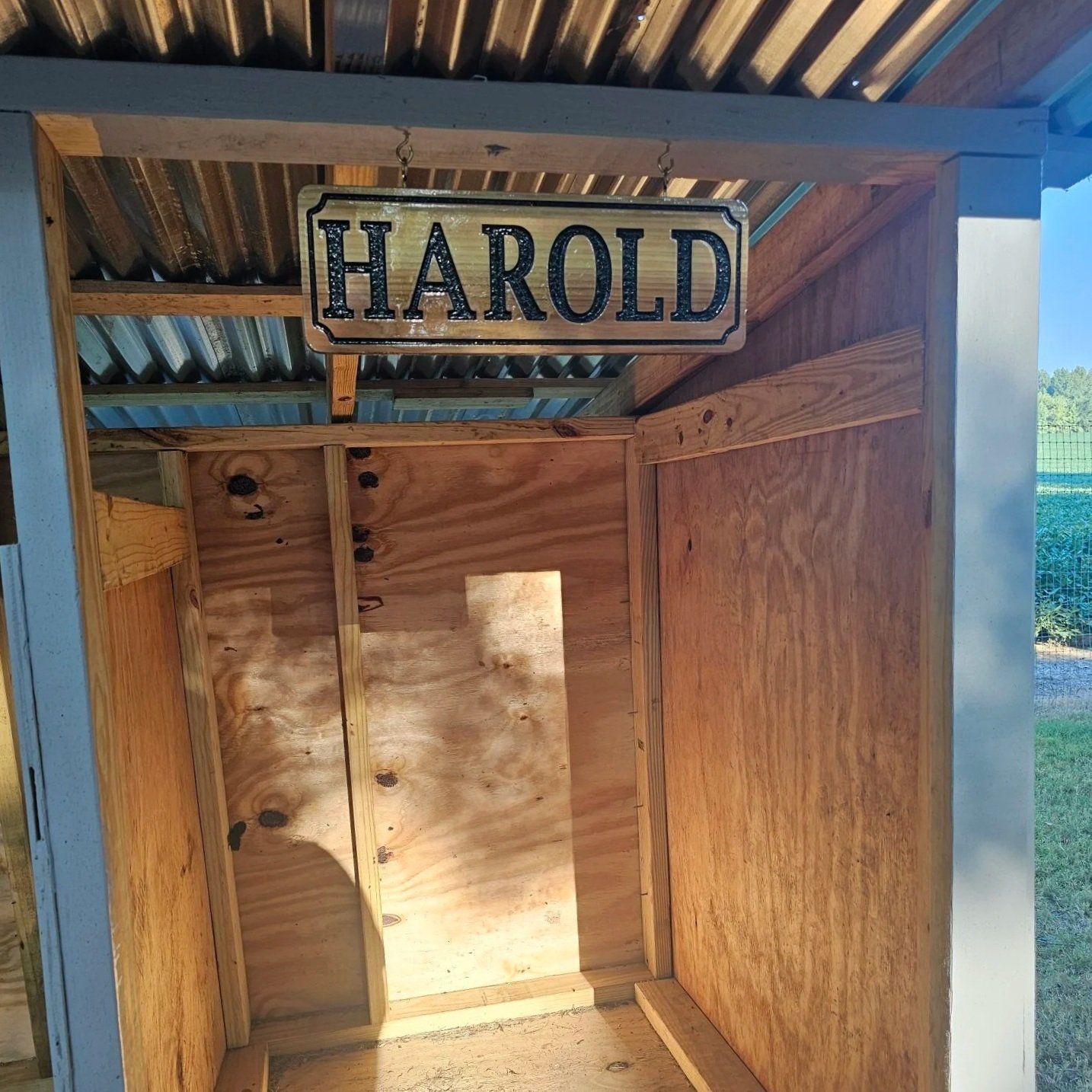 Empty wooden birdhouse with a metal sign that reads 'Harold' hanging at the top.