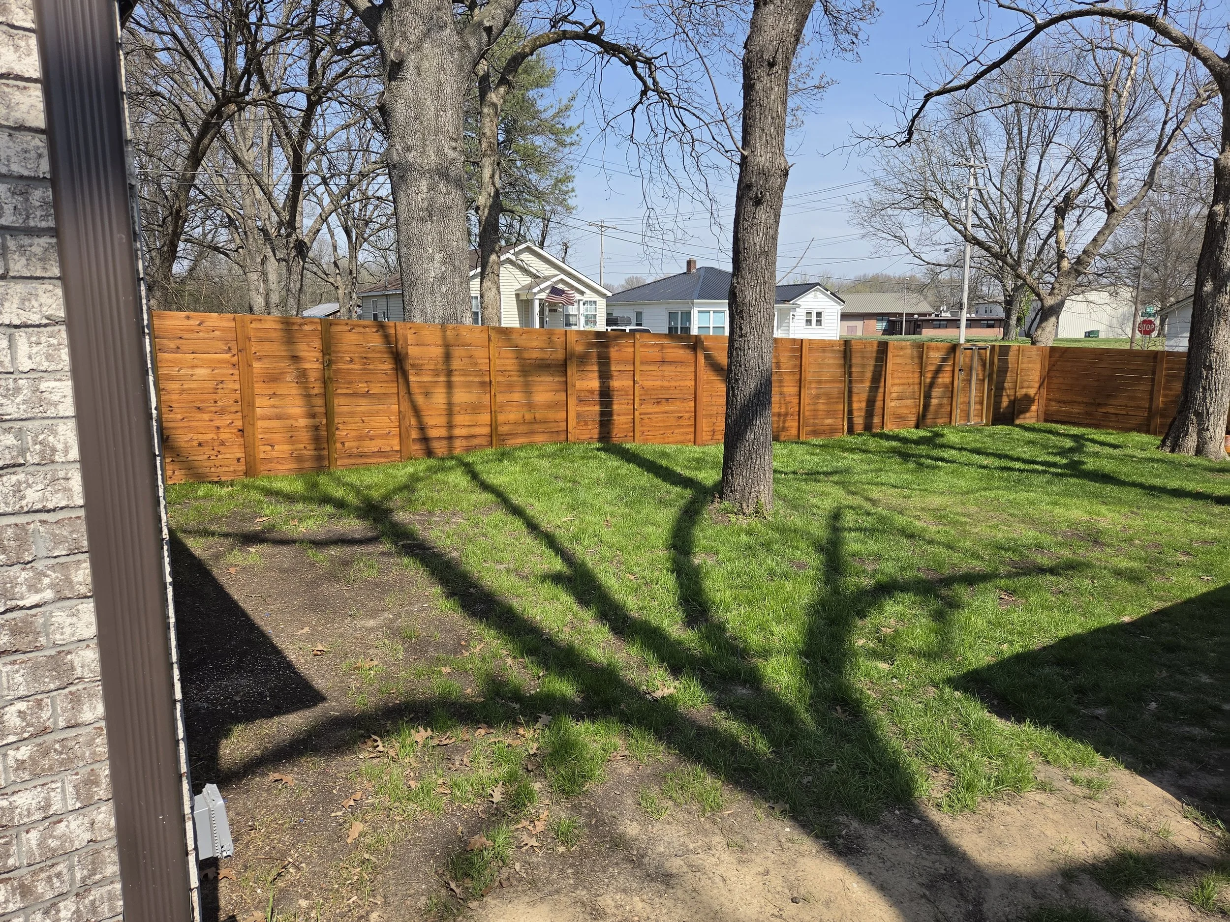 A backyard with a newly installed wooden privacy fence, lush green grass, two large trees, and houses in the background on a sunny day.