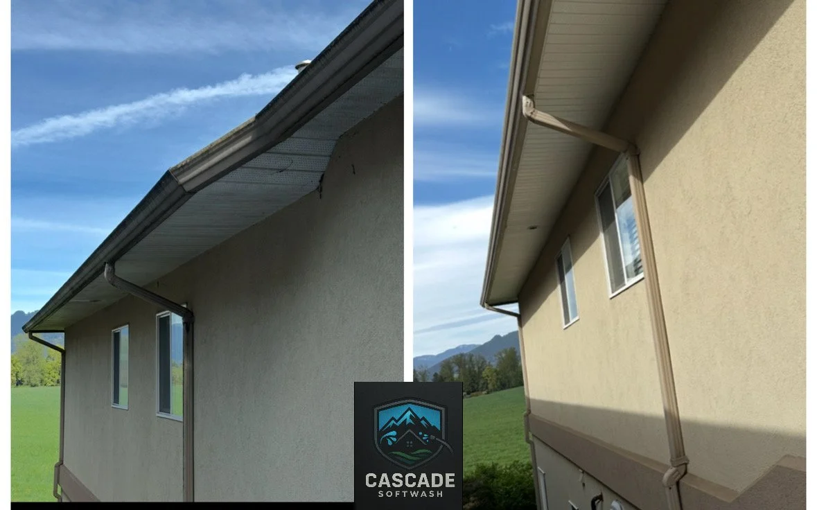 Comparison of house gutters and downspouts, showing before and after cleaning or repairs, with a logo for Cascade Softwash.
