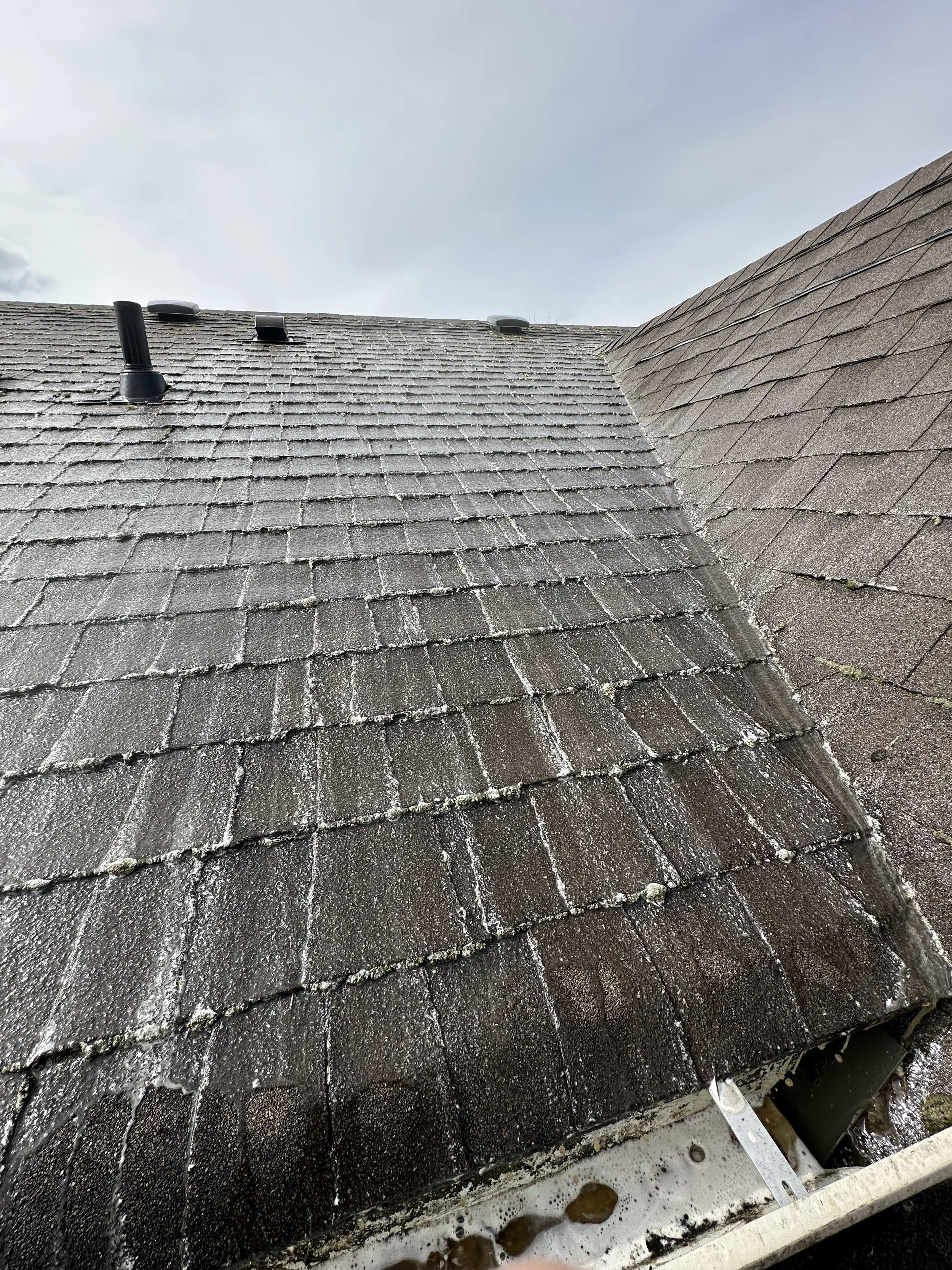 Close-up of a sloped roof with dark shingles and white streaks, with vents and a cloudy sky above.
