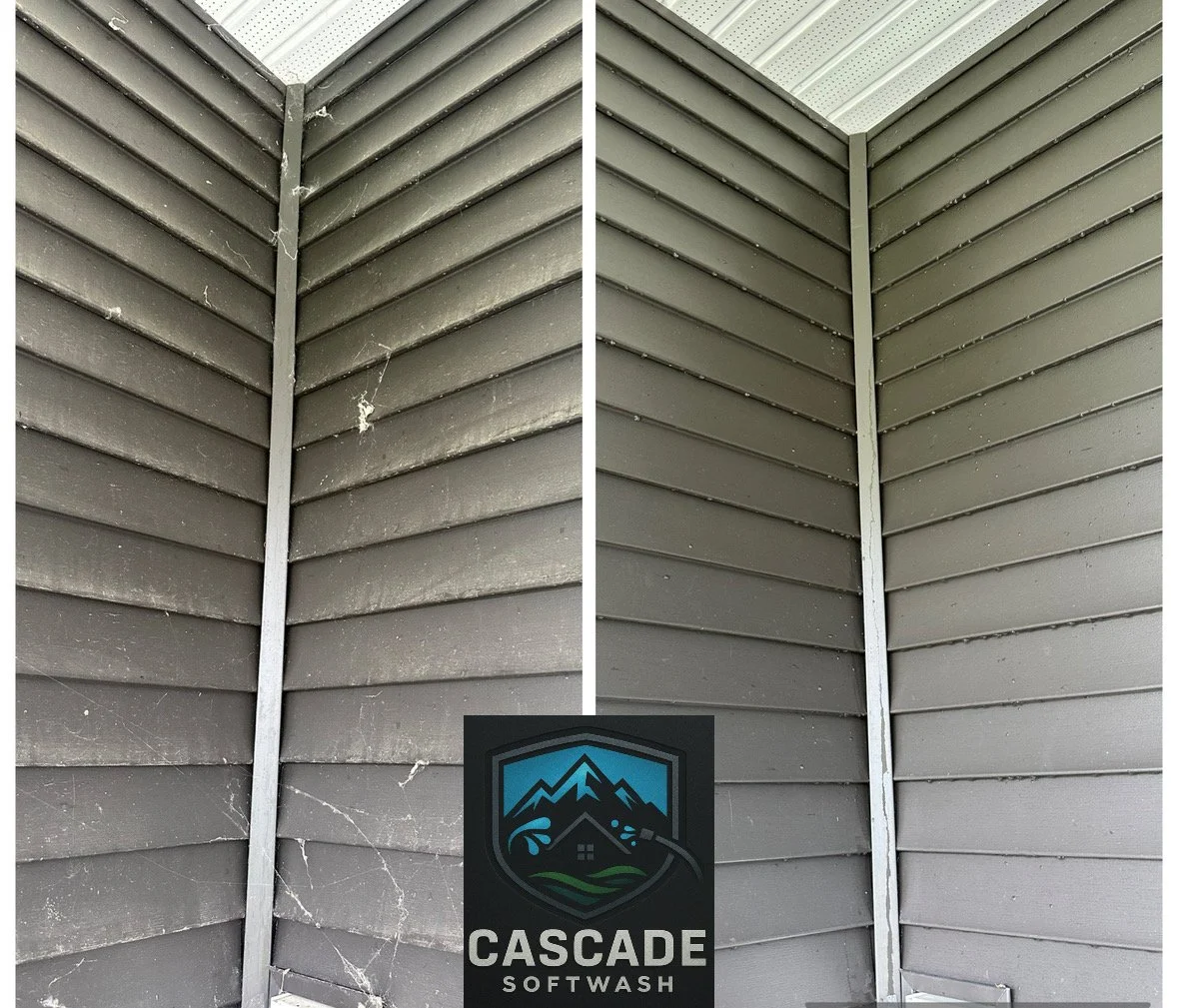 Side-by-side comparison of a corner of a house with vinyl siding, showing before and after cleaning with Cascade Softwash, a pressure washing service.