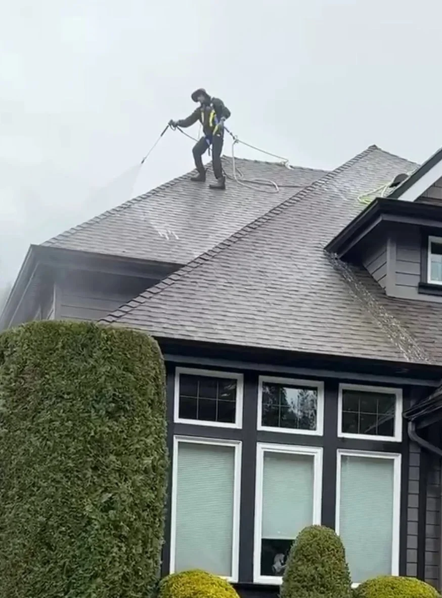 Person in safety gear spraying water on roof shingles with a hose, standing on the roof of a house.