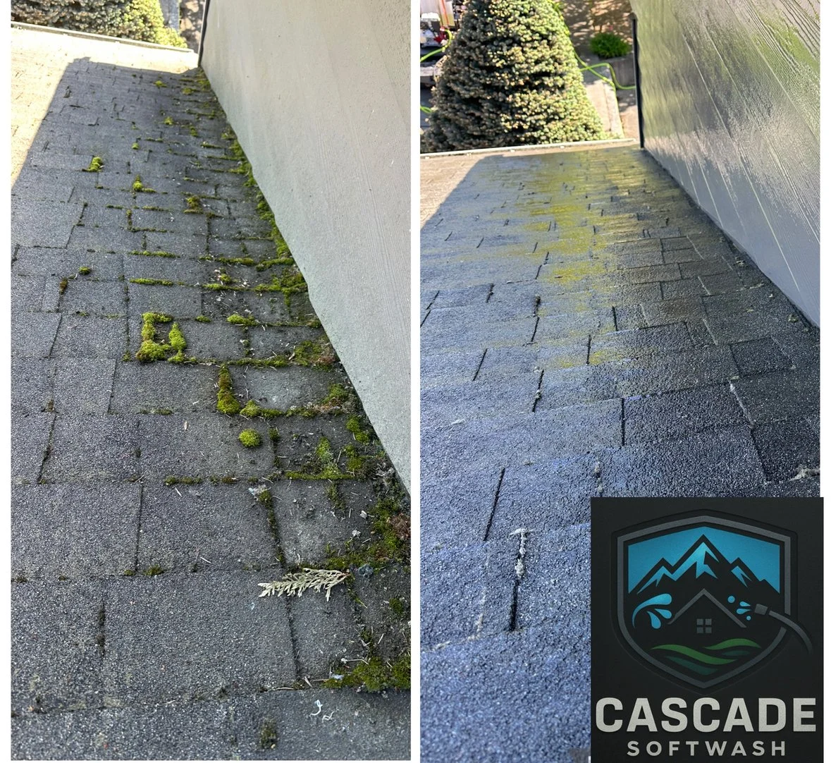 Comparison of a roof with moss and debris on the left side before cleaning and a clean, moss-free roof on the right side after power washing with Cascade Softwash.