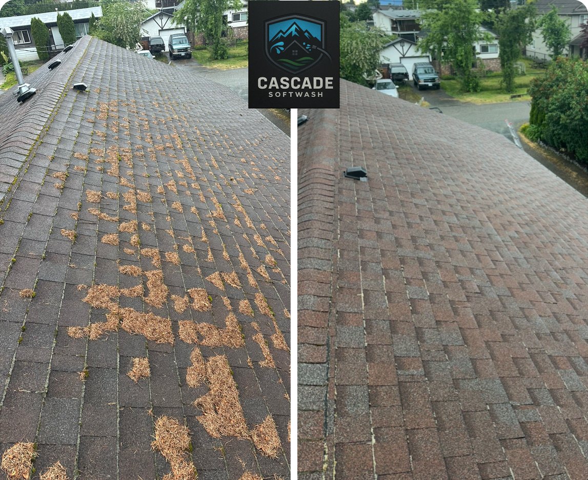 Before and after comparison of a roof cleaning. The left side shows a roof covered with dirt and moss, while the right side shows a clean roof.