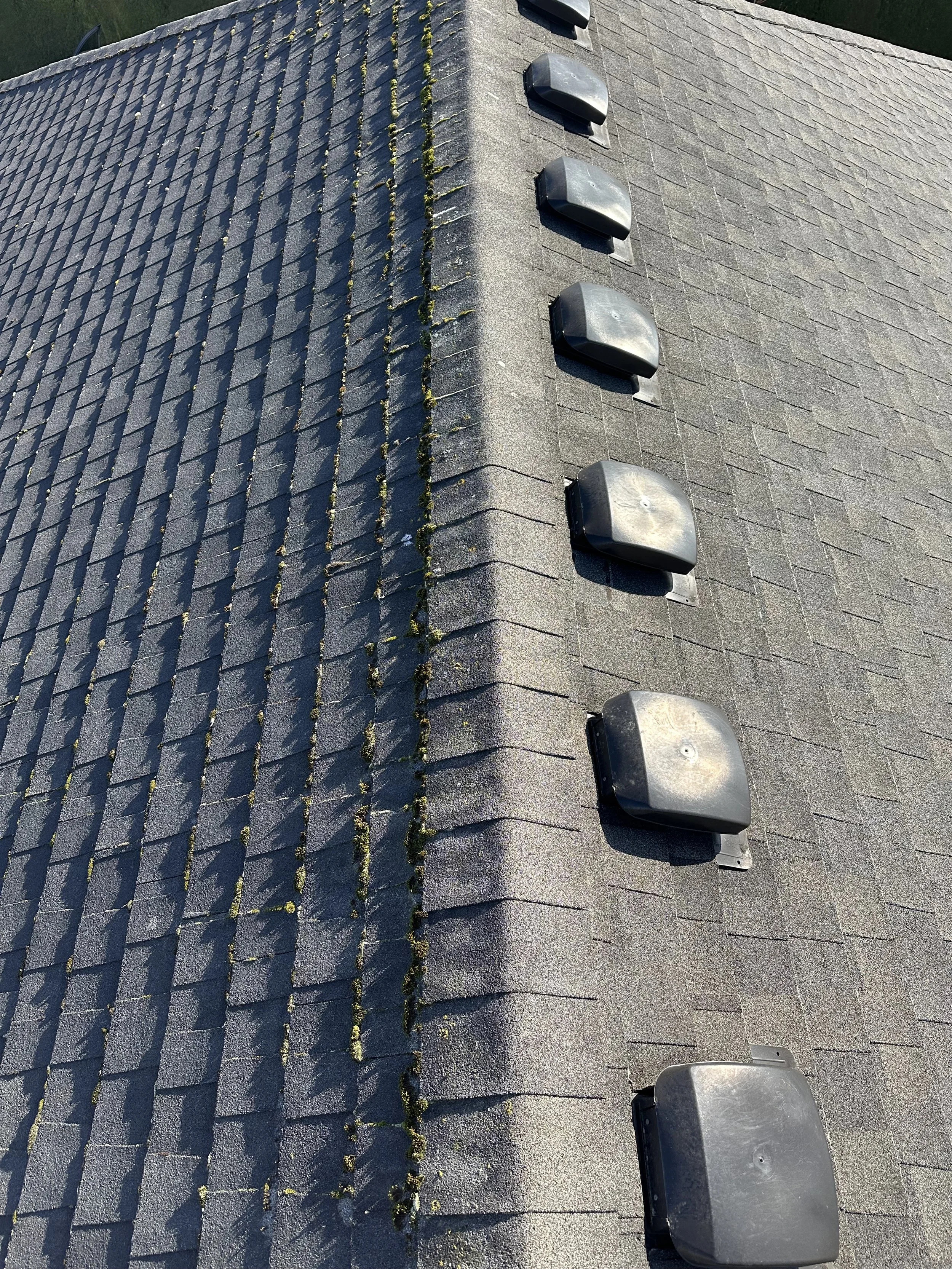 Close-up of a roof with dark shingles, showing five metal vents and some moss growing along the edge of the roof.