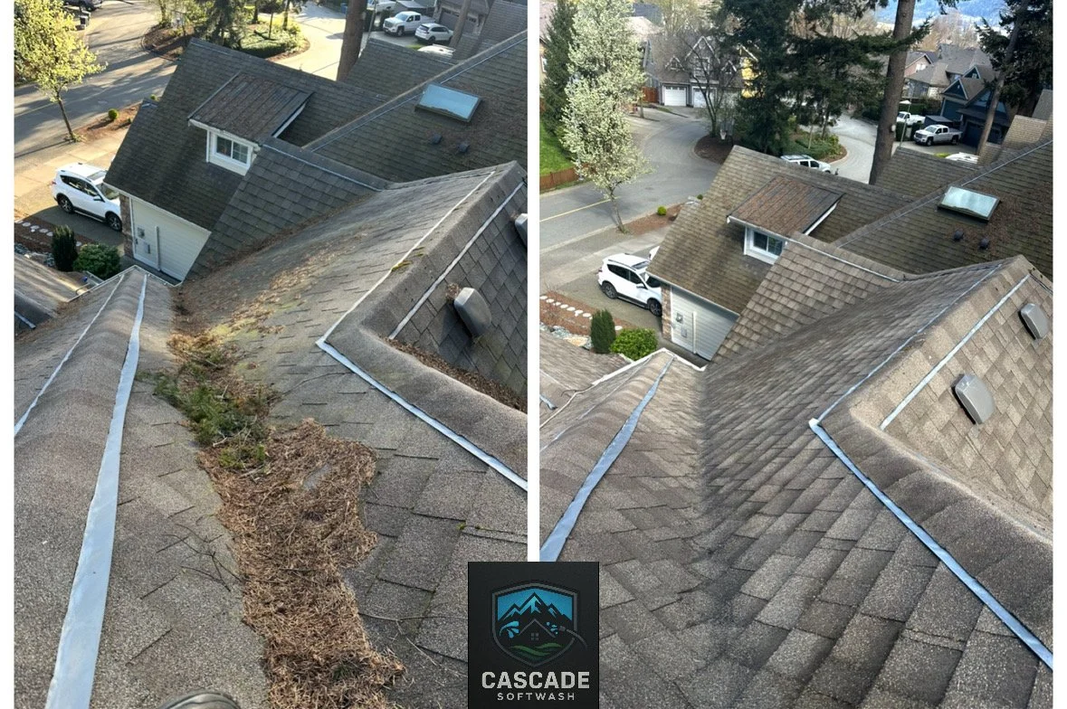 Side-by-side comparison of a roof before and after cleaning, showing removal of dirt, moss, and debris. The cleaned roof appears brighter and more uniform.