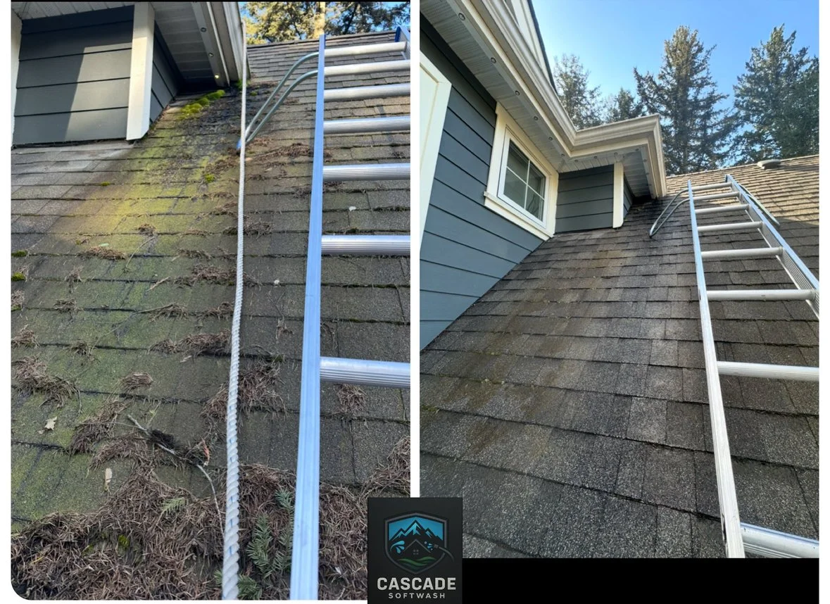 Side-by-side view of a house roof before and after cleaning. The left side shows moss, dirt, and debris on mossy shingles, with a ladder leaning against the roof. The right side shows a clean, moss-free roof with a window and clear sky in the backgro